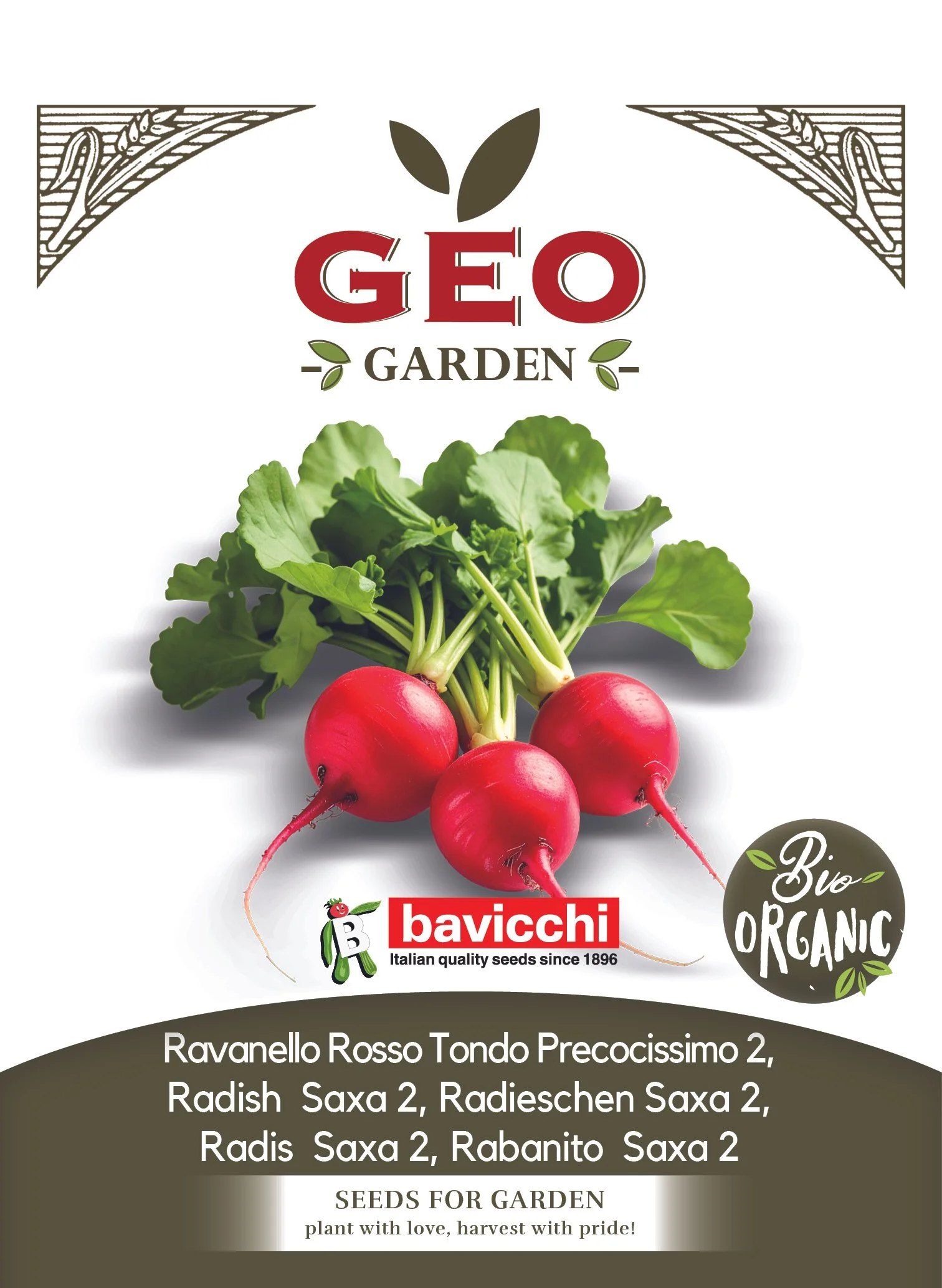 RAVANELLO ROSSO TONDO PRECOCISSIMO 2 - VRV1203