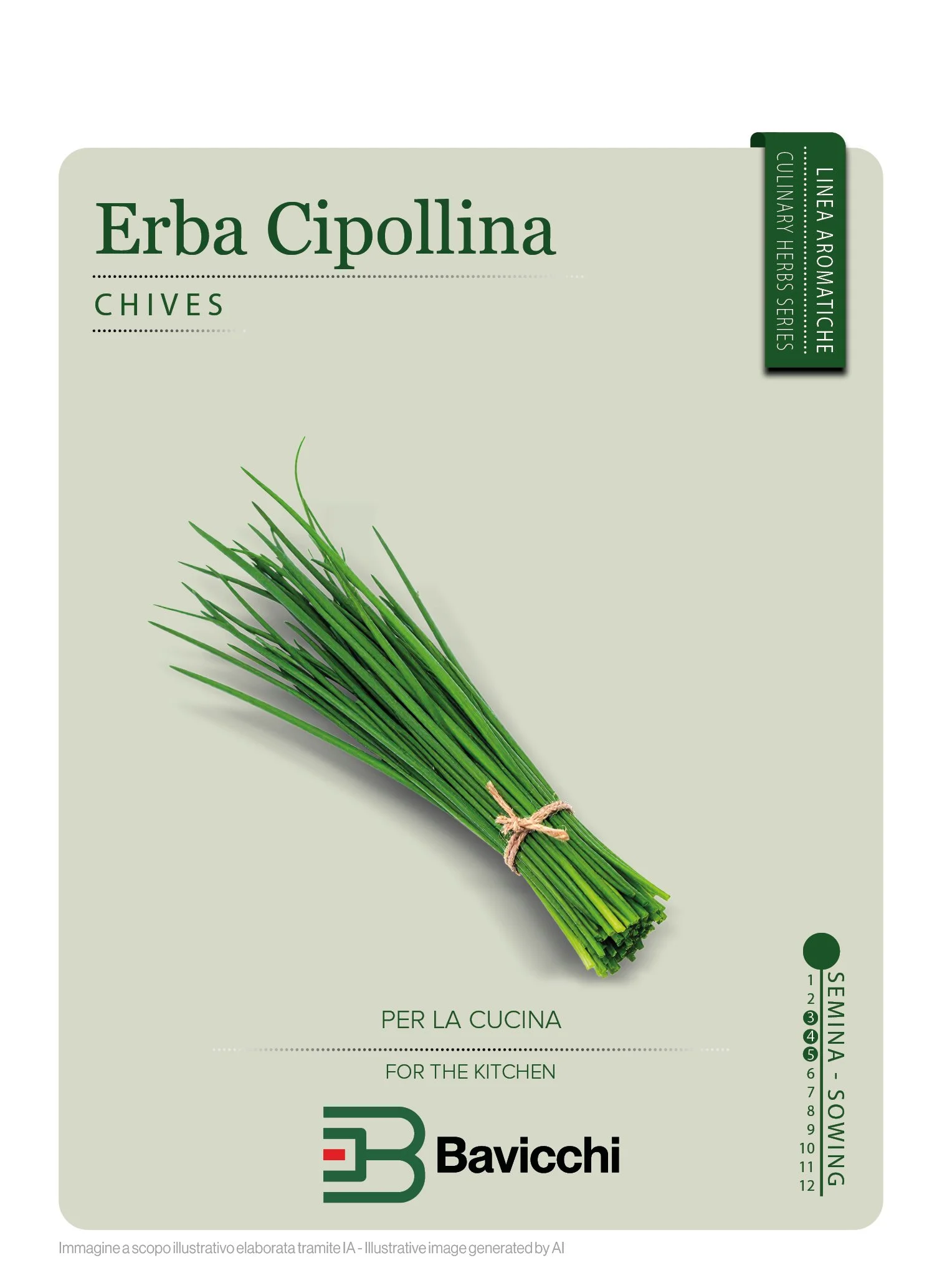 ERBA CIPOLLINA - ZXE1007
