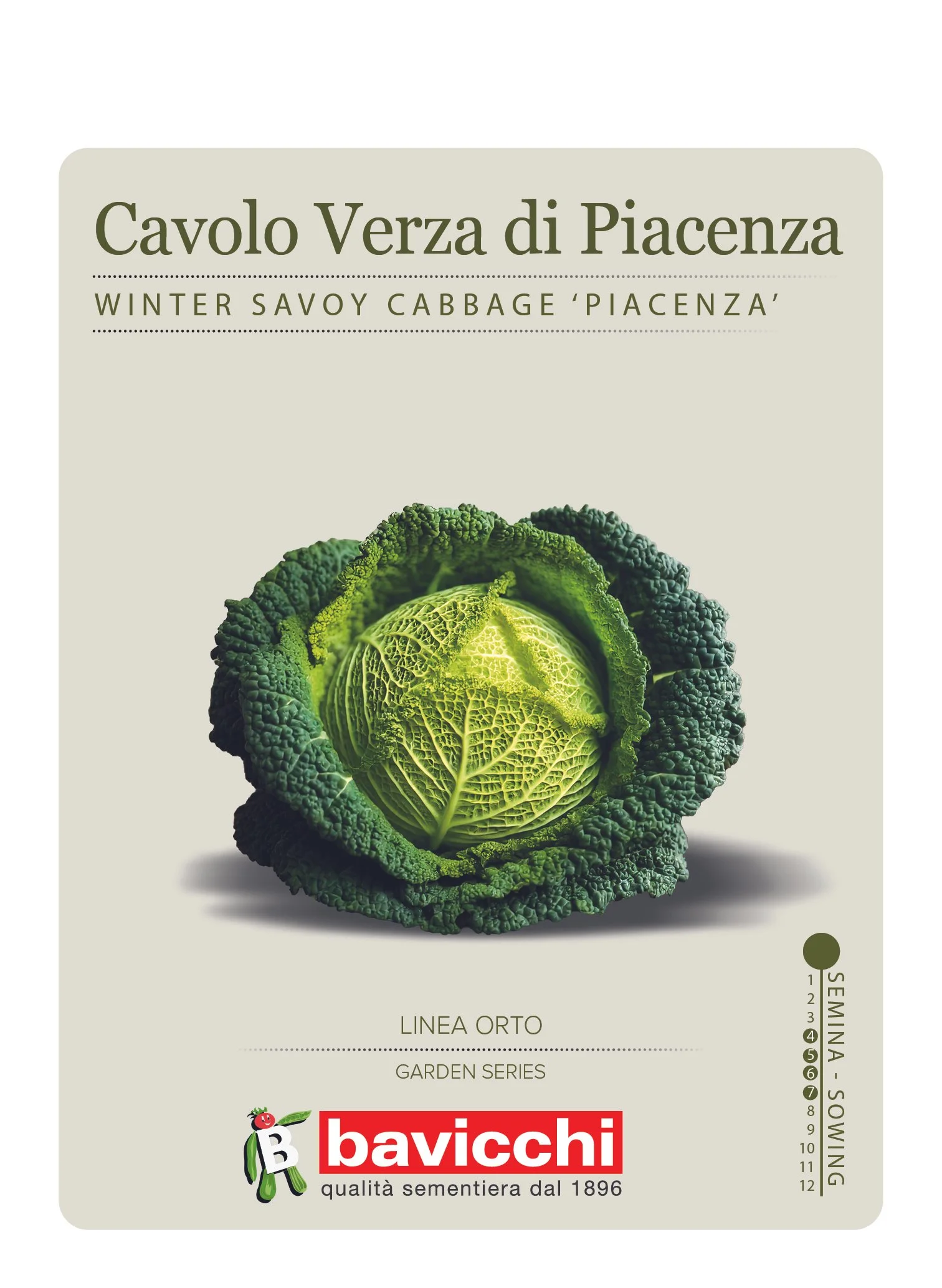 CAVOLO VERZA DI PIACENZA INVERNALE - VCV0207