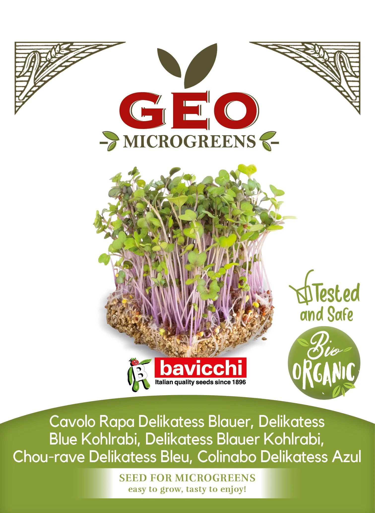 CAVOLO RAPA DELIKATESS BLAUER - VKH0303