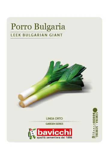 PORRO GIGANTE DI BULGARIA - VPR0307