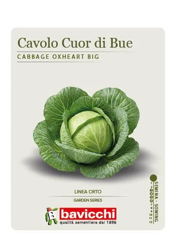 CAVOLO CAPPUCCIO CUOR DI BUE GROSSO - VCC0207