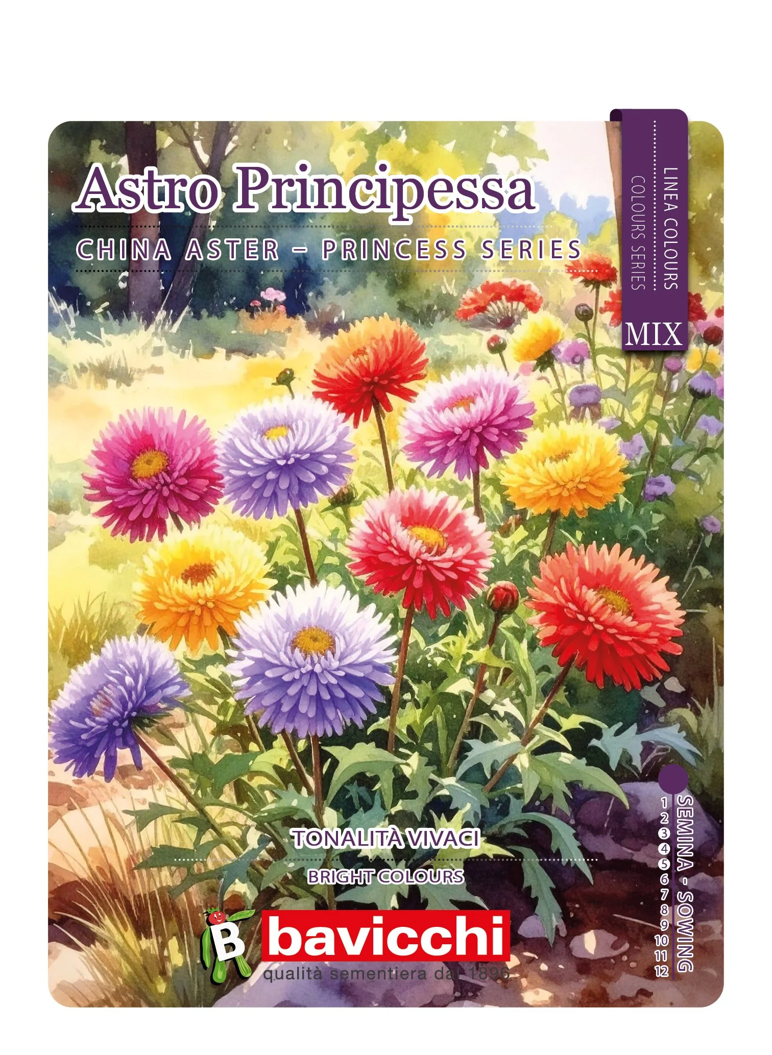 ASTRO PRINCIPESSA MIX - FAT0907
