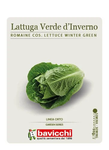 LATTUGA ROMANA VERDE D'INVERNO - VLA2107