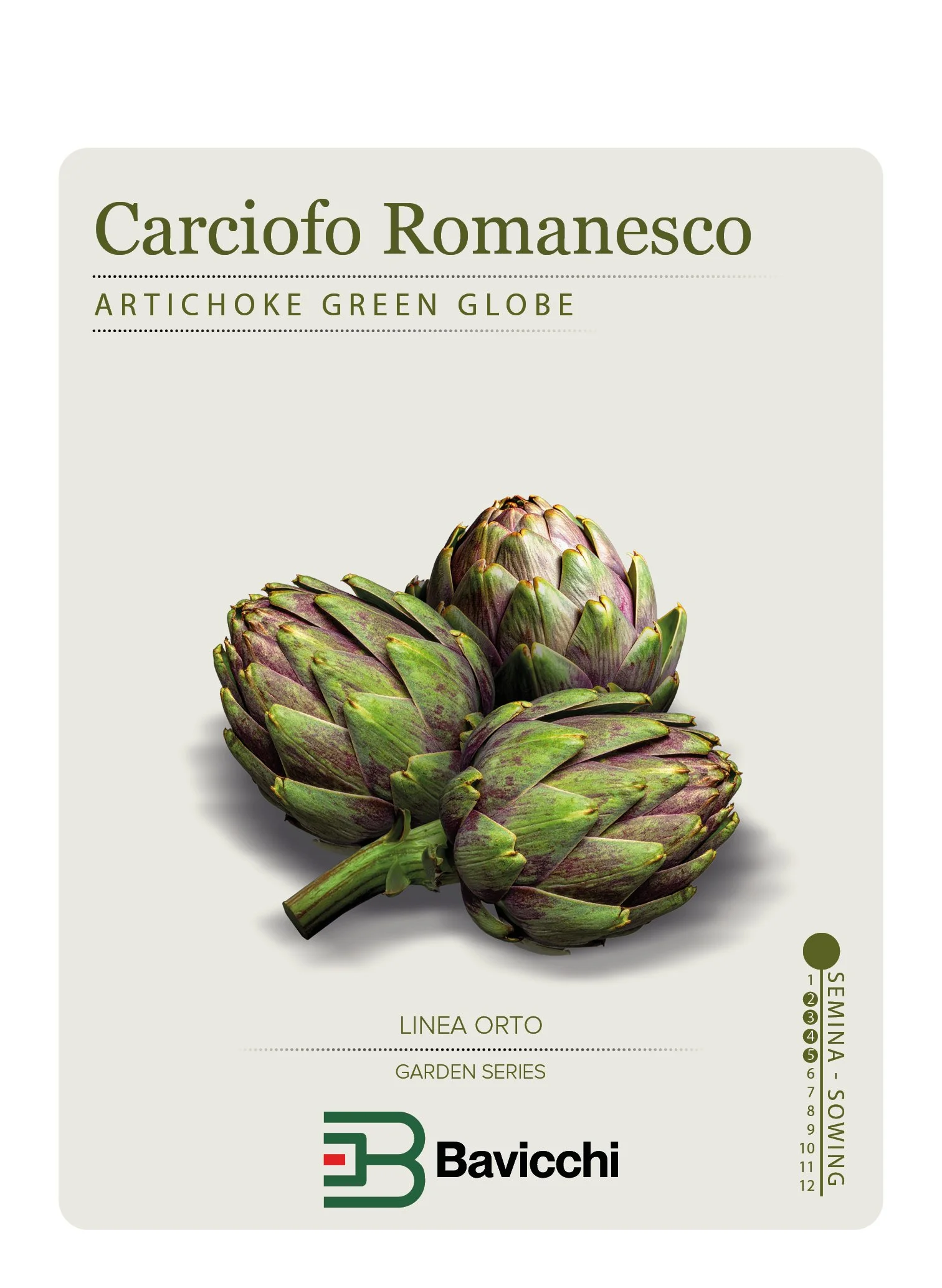 CARCIOFO ROMANESCO - ZCM0207