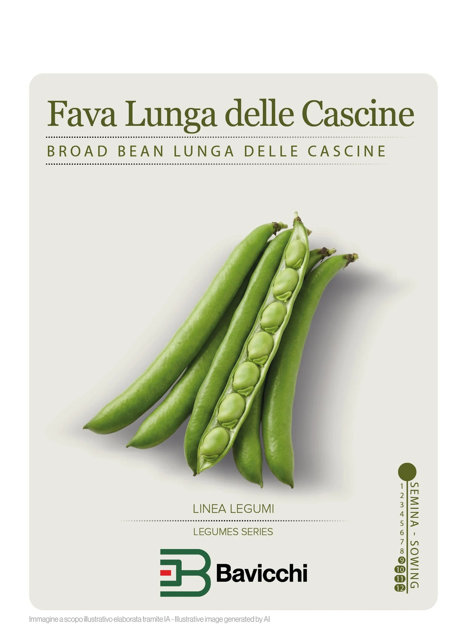 FAVA LUNGA DELLE CASCINE - VFA0307