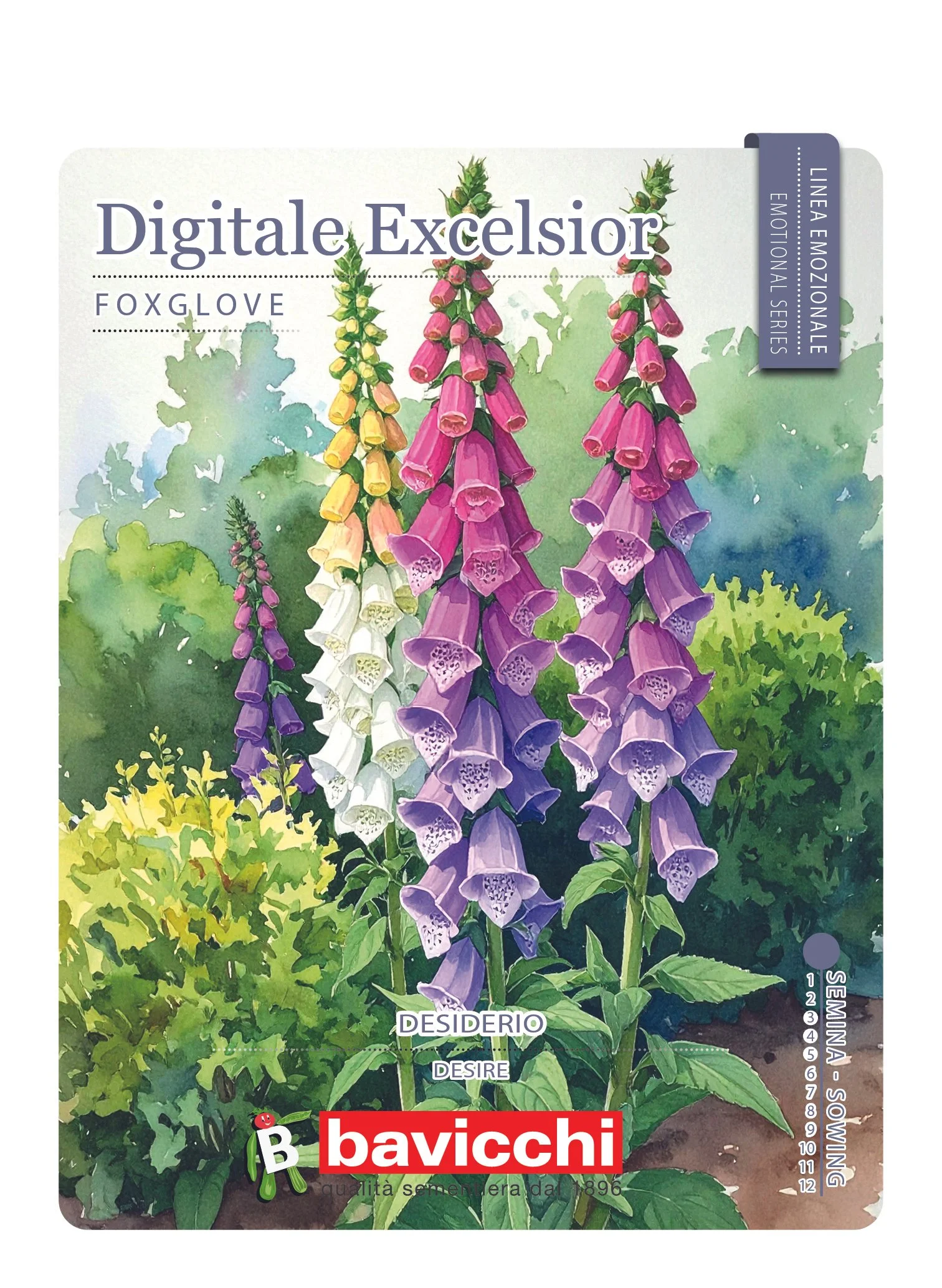 DIGITALE EXCELSIOR - FDI0107