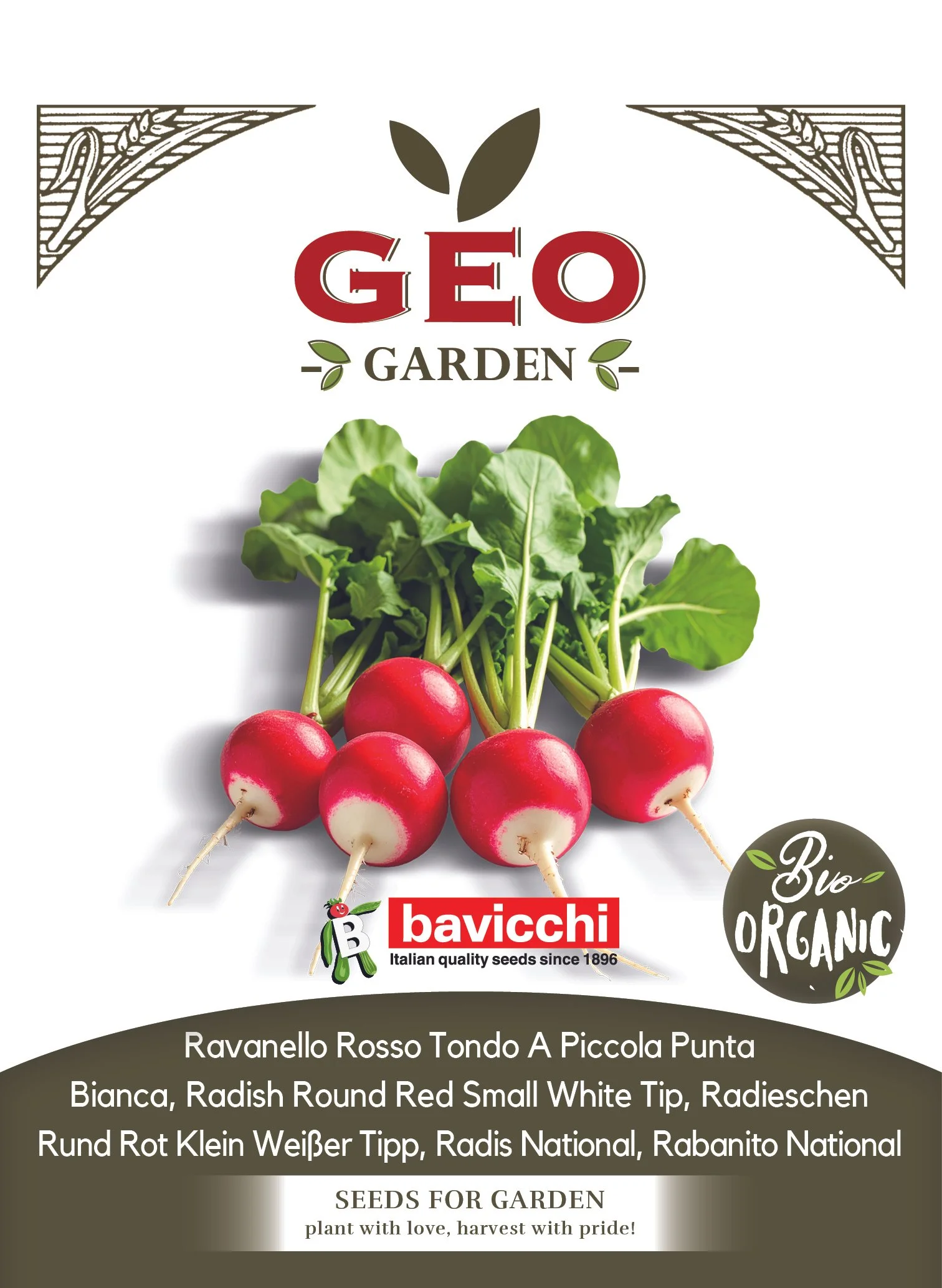 RAVANELLO ROSSO TONDO A PICCOLA PUNTA - VRV1503