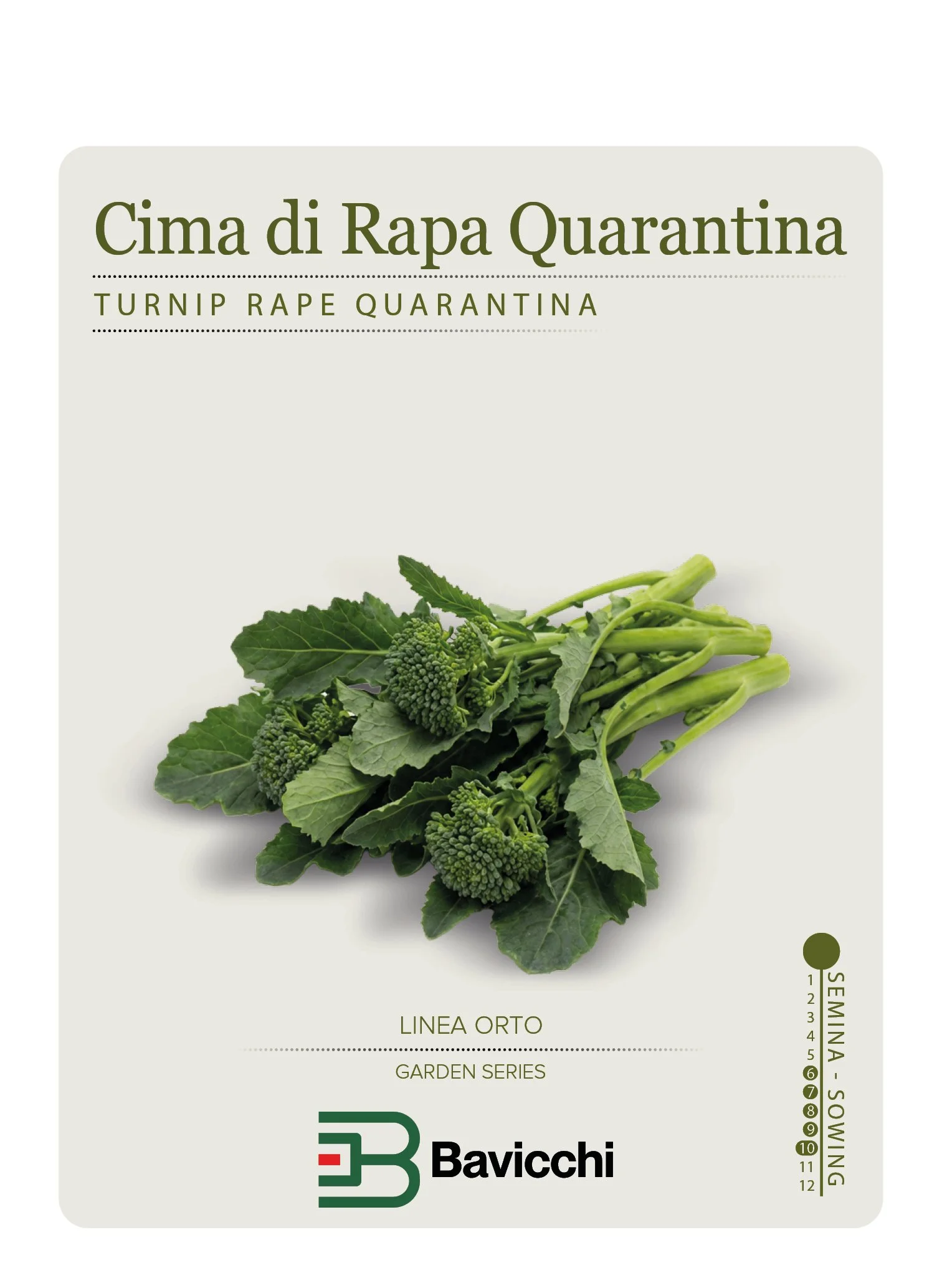 RAPA BROCCOLETTI O CIMA DI RAPA QUARANTINA - ZRP0307