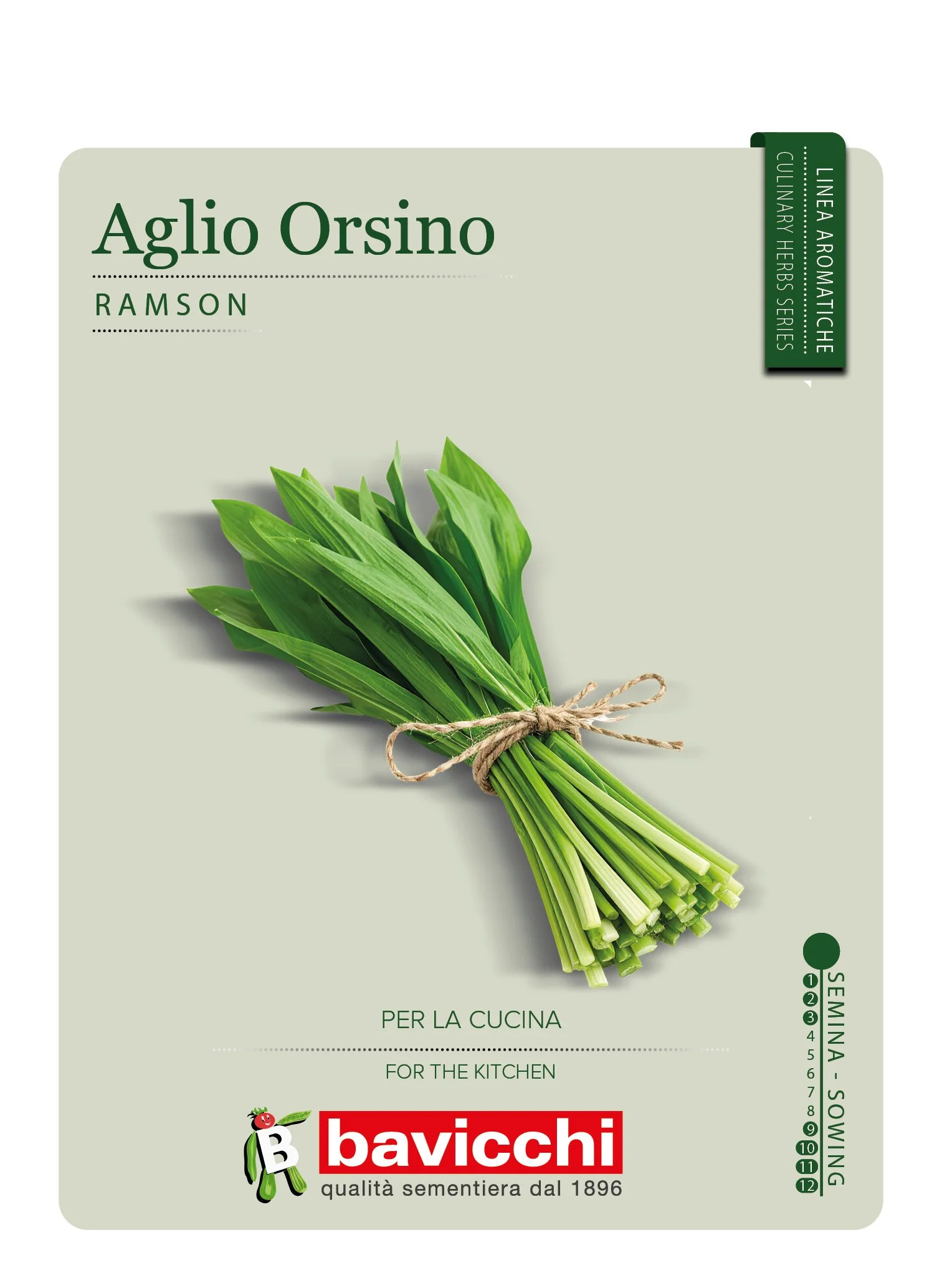 AGLIO ORSINO - ZXA3007