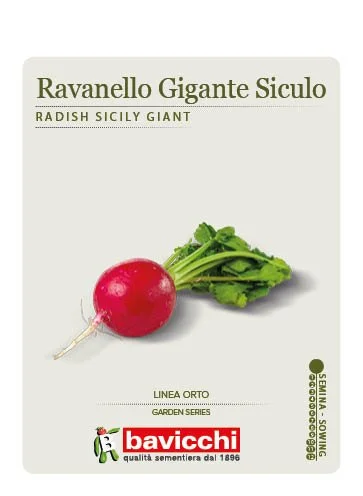 RAVANELLO GIGANTE SICULO - VRV0307