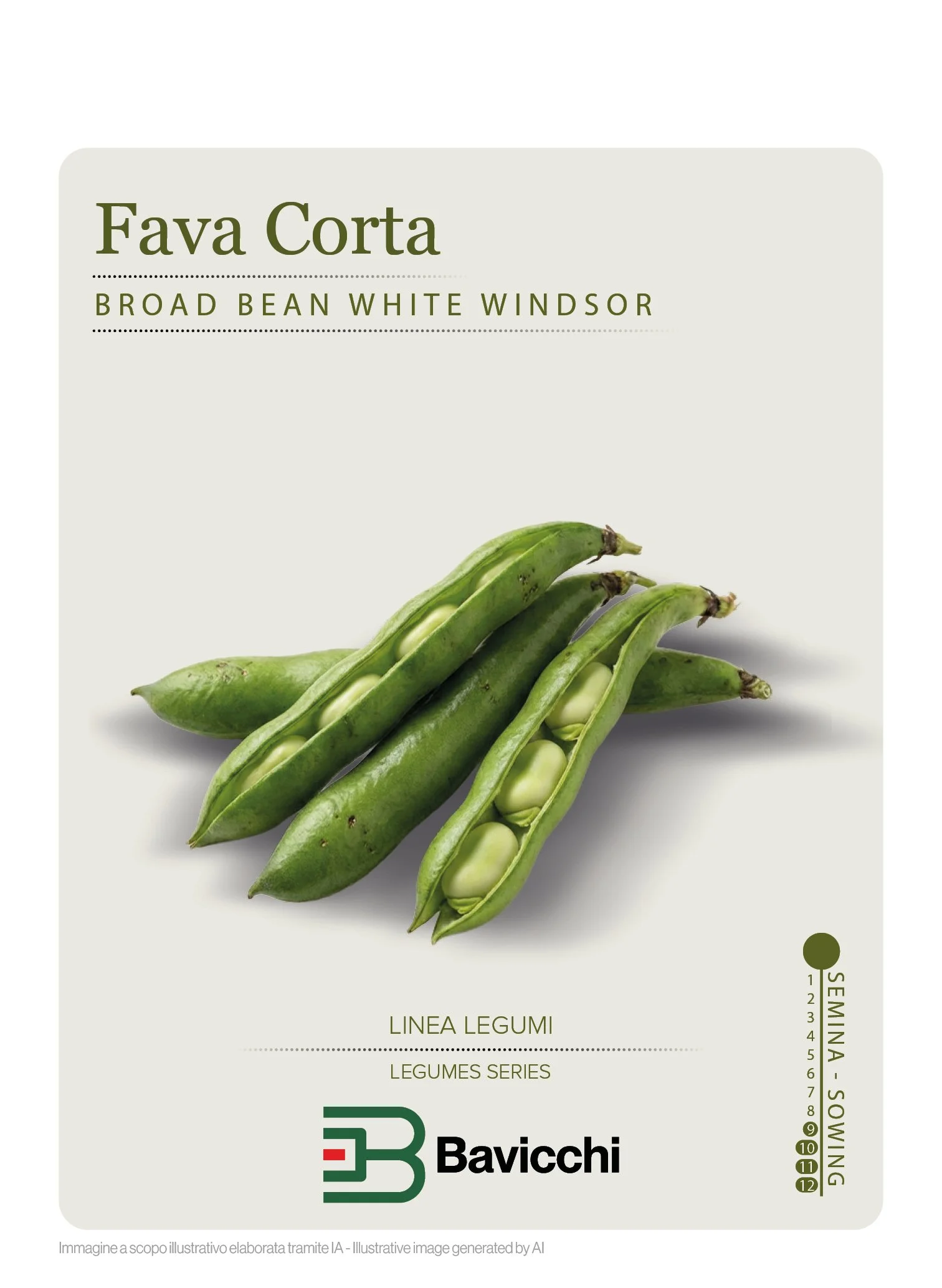 FAVA WHITE WINDSOR - VFA0807
