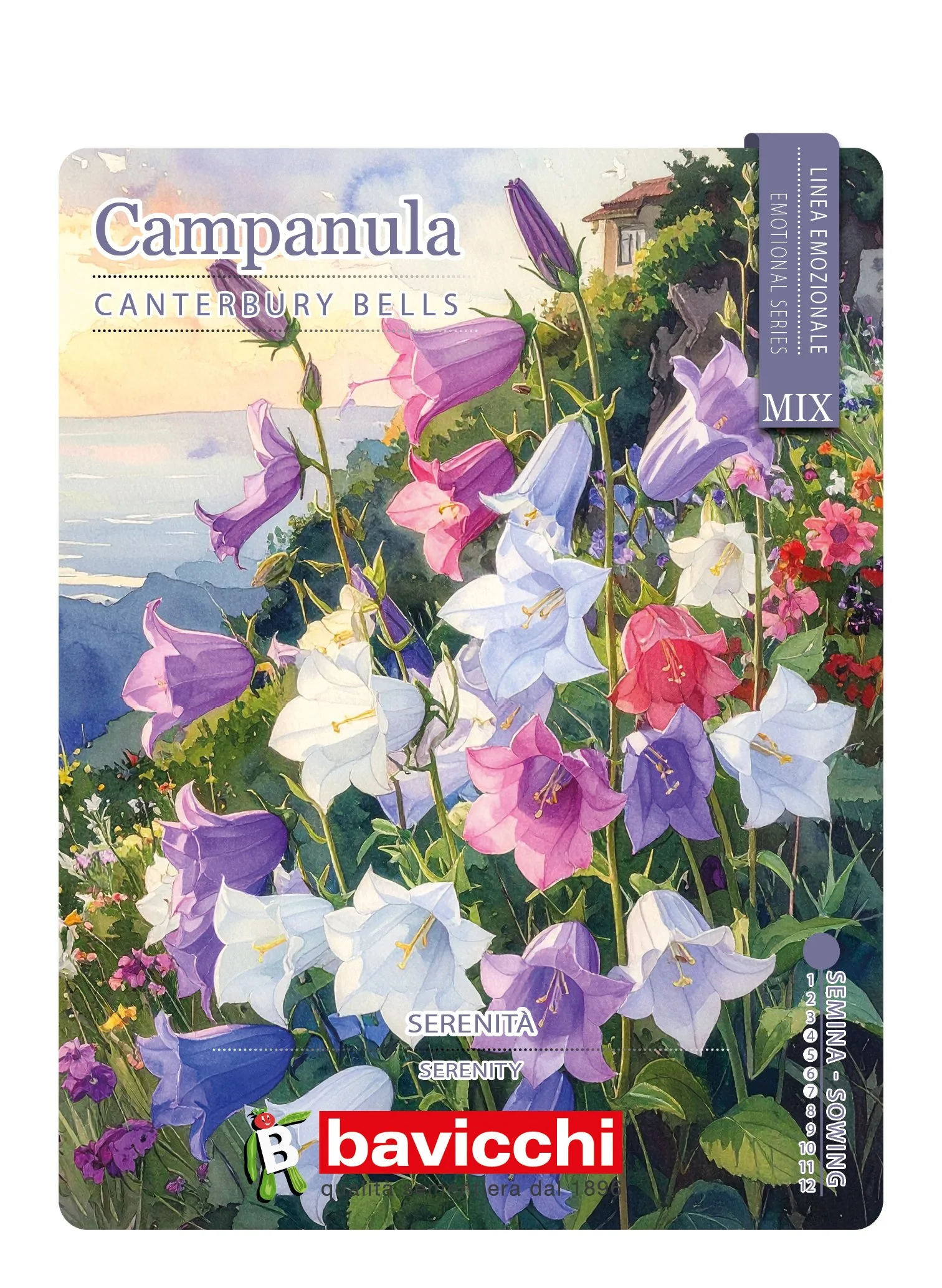 CAMPANULA MIX - FCM0107