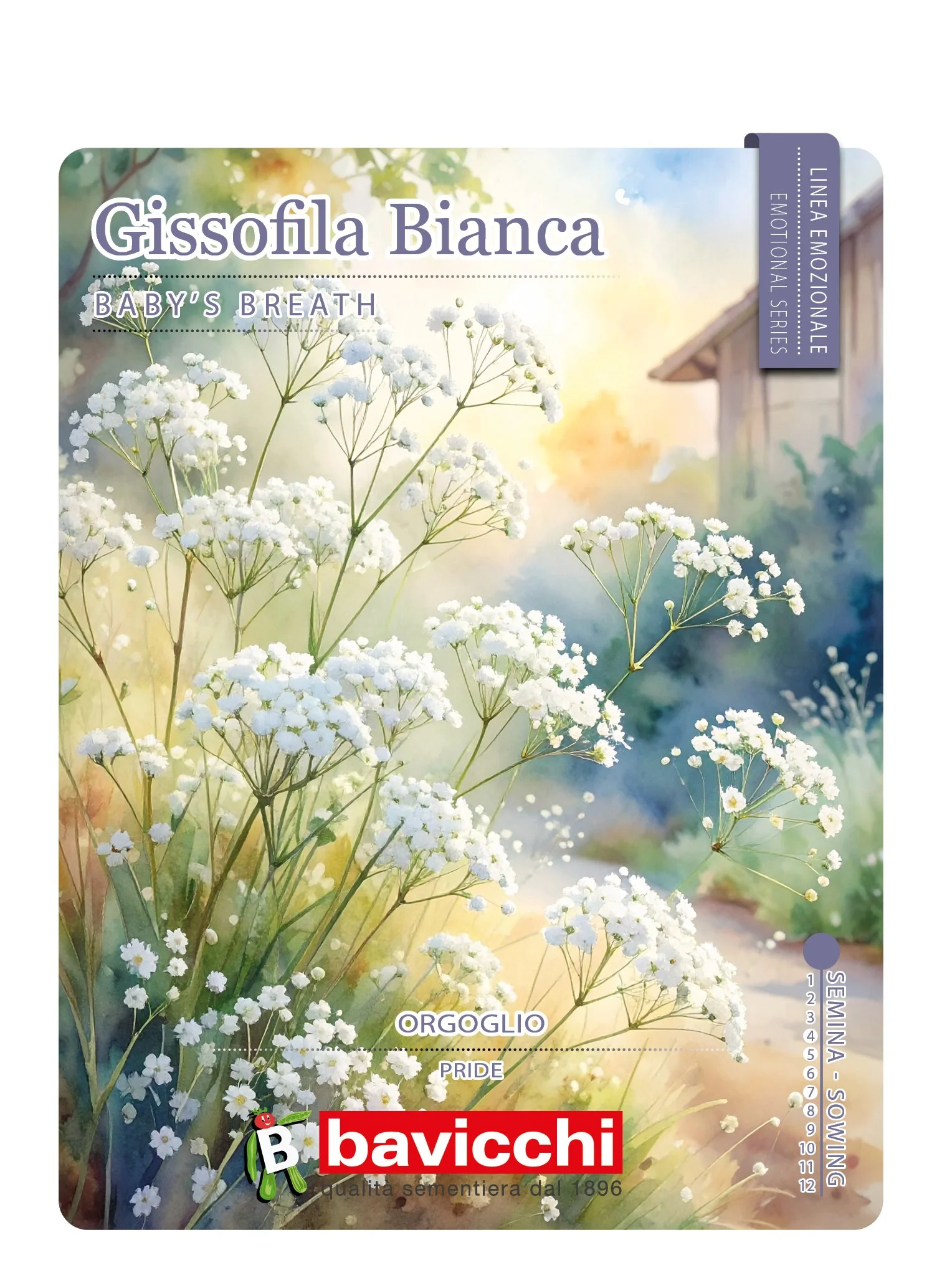 GISSOFILA BIANCA - FGS0107
