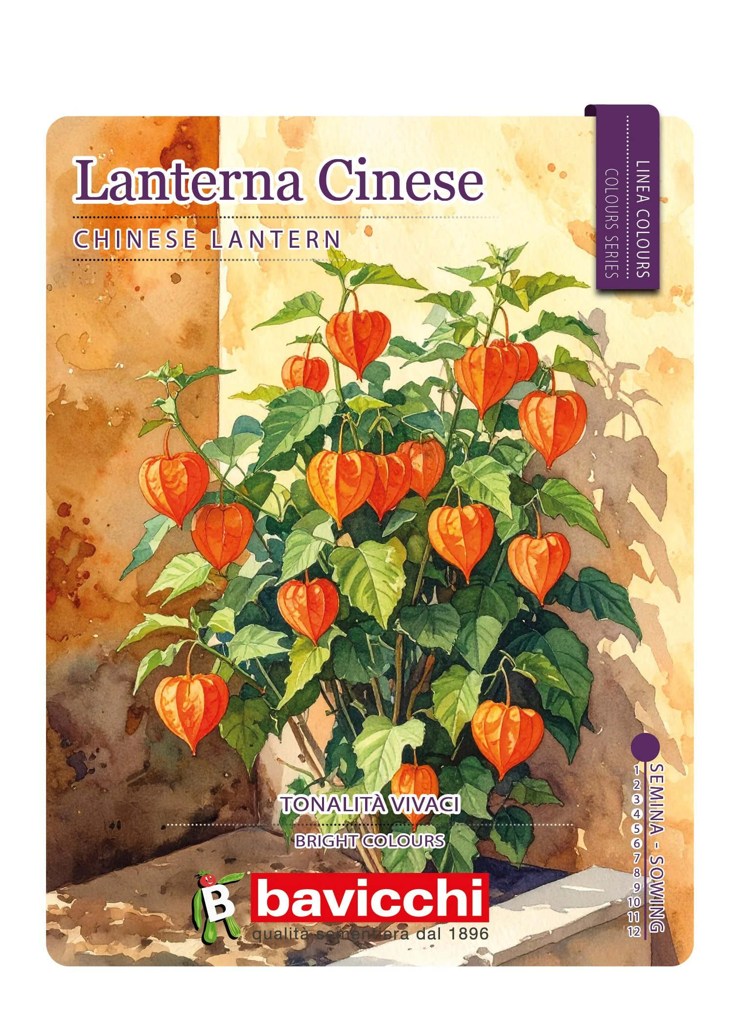 LANTERNA CINESE - FPL0107