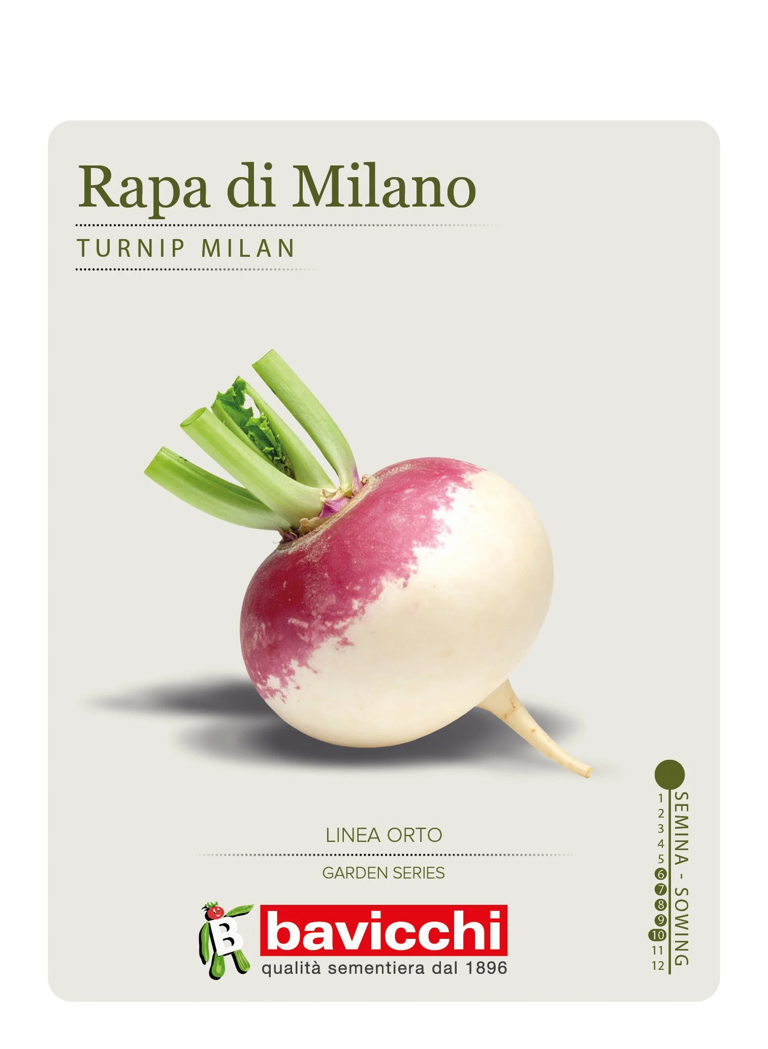 RAPA DI MILANO BIANCA A COLLETTO VIOLA - VRP0207