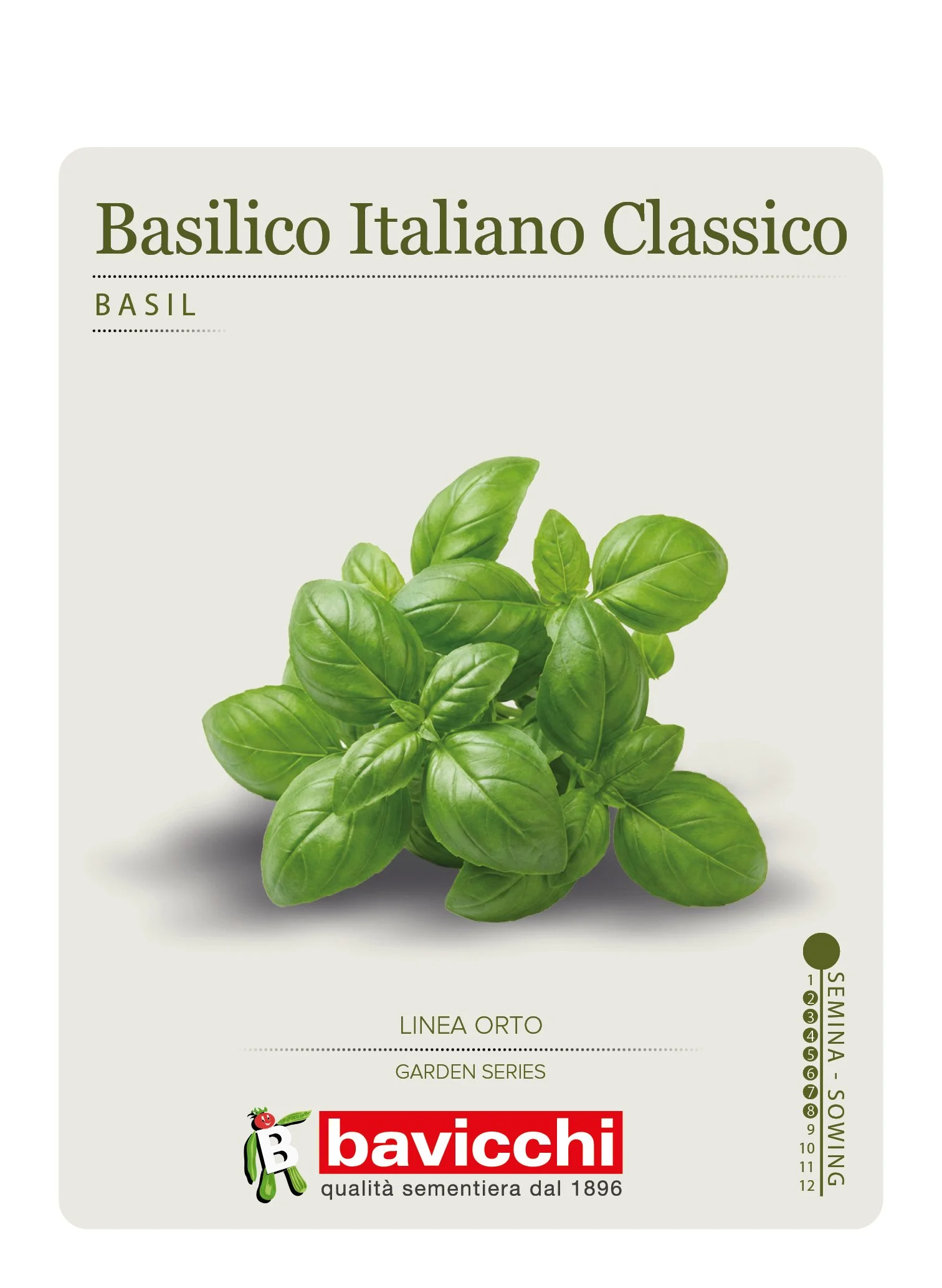 BASILICO ITALIANO CLASSICO - ZBS0307
