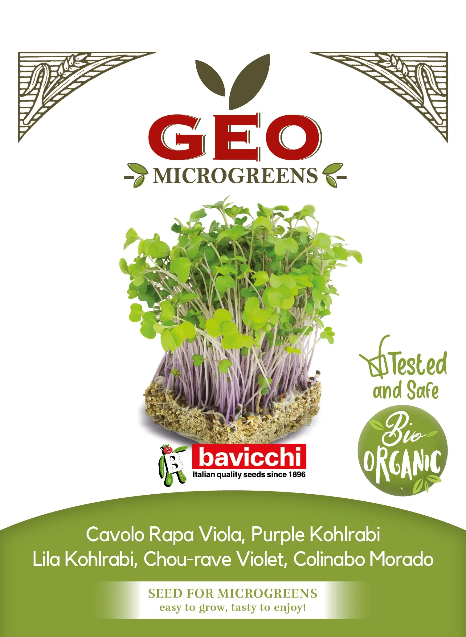CAVOLO RAPA VIOLA - VKH0203