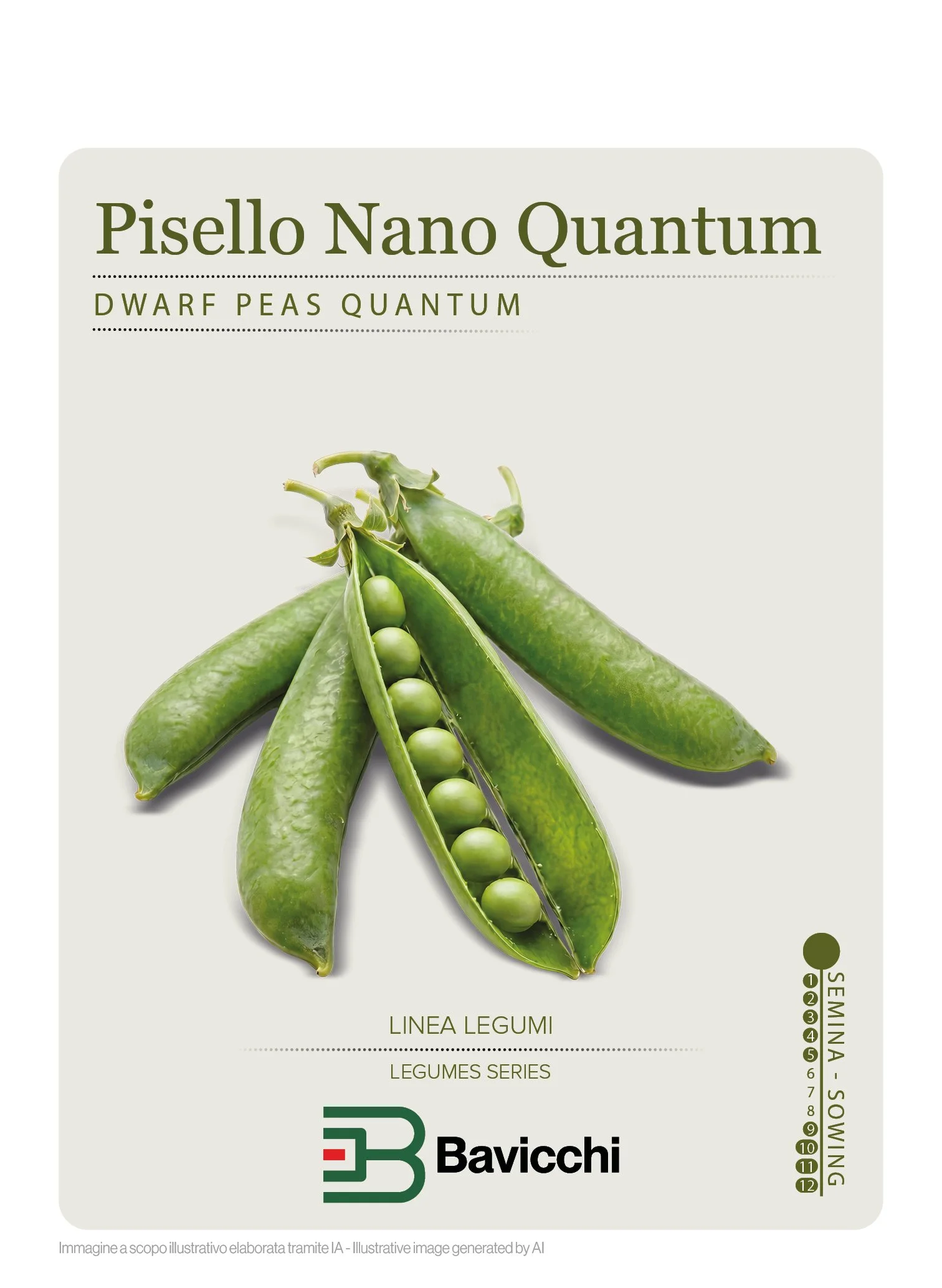 PISELLO QUANTUM - VPI1907