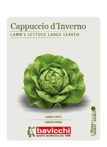 LATTUGA CAPPUCCIO MERAVIGLIA D'INVERNO - VLA2707
