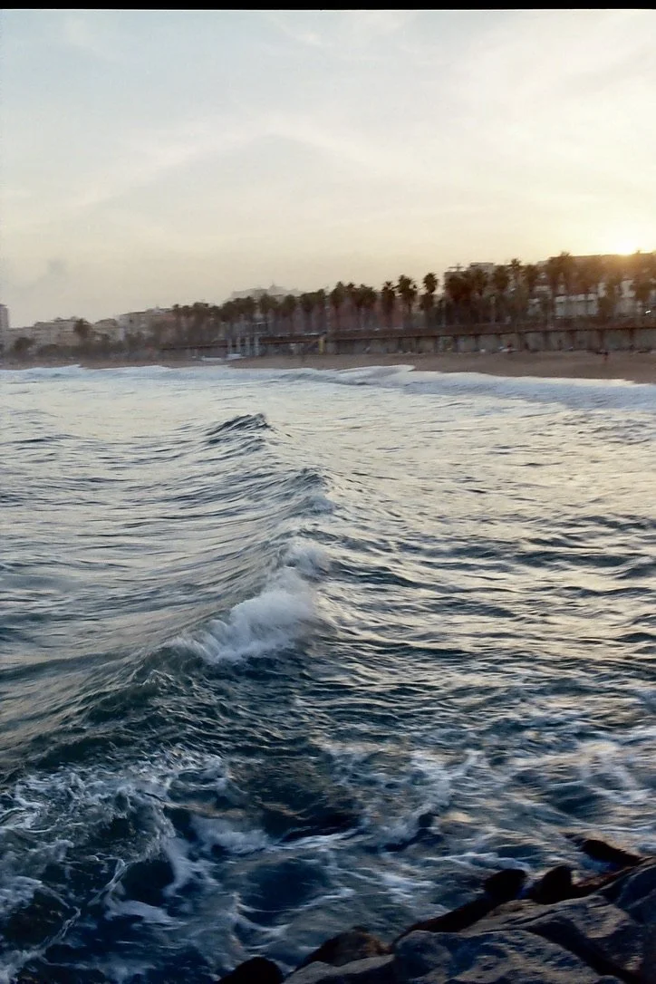 504A117D-4D30-44F1-B9C4-6884836FF611_1_105_c.jpeg