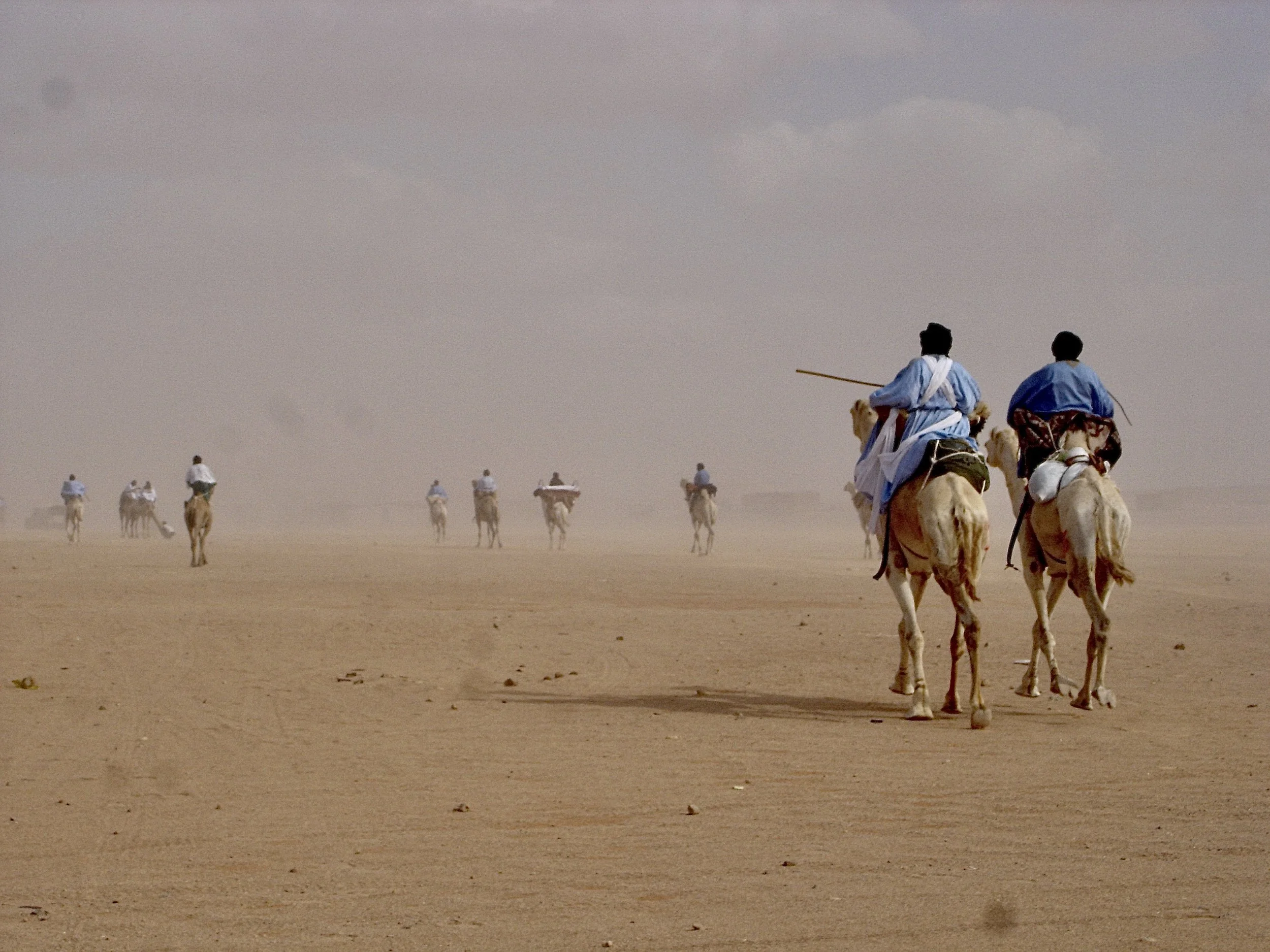 Western Sahara: 50 years of exile and occupation by&nbsp;Ken Ritchie, 2025