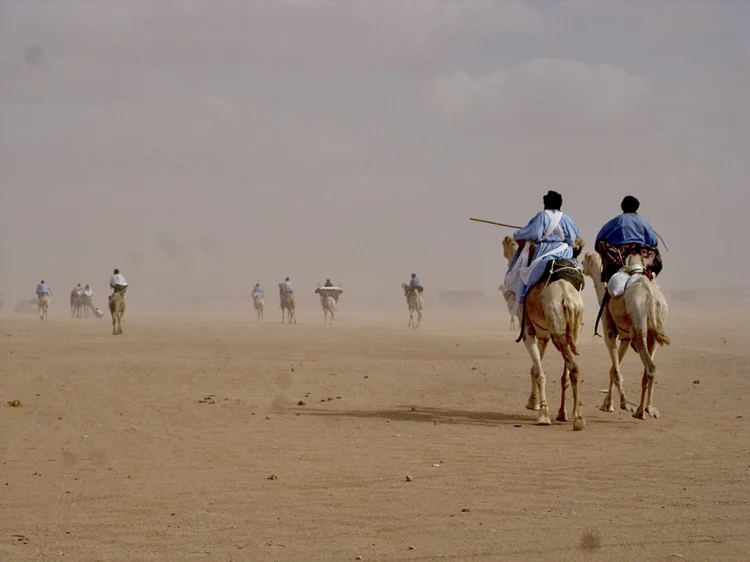 Who are the Saharawis? | Empower Saharawi Voices Today — Sandblast Arts