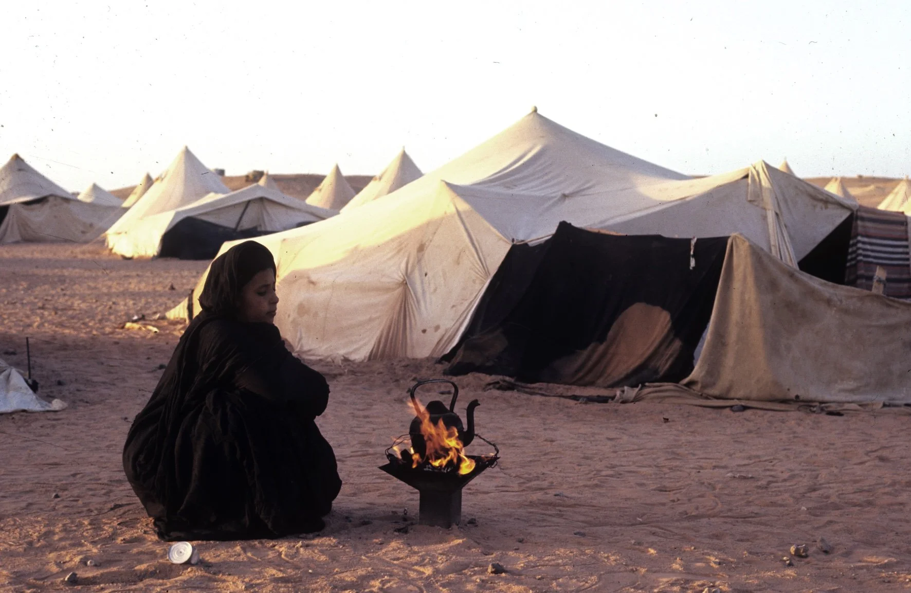 Saharawi Women in Resistance
