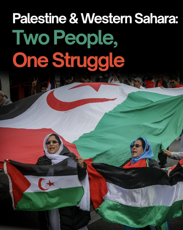 Western Sahara: Africa’s last colony Occupation, Resistance, Exile, and Parallels with Palestine