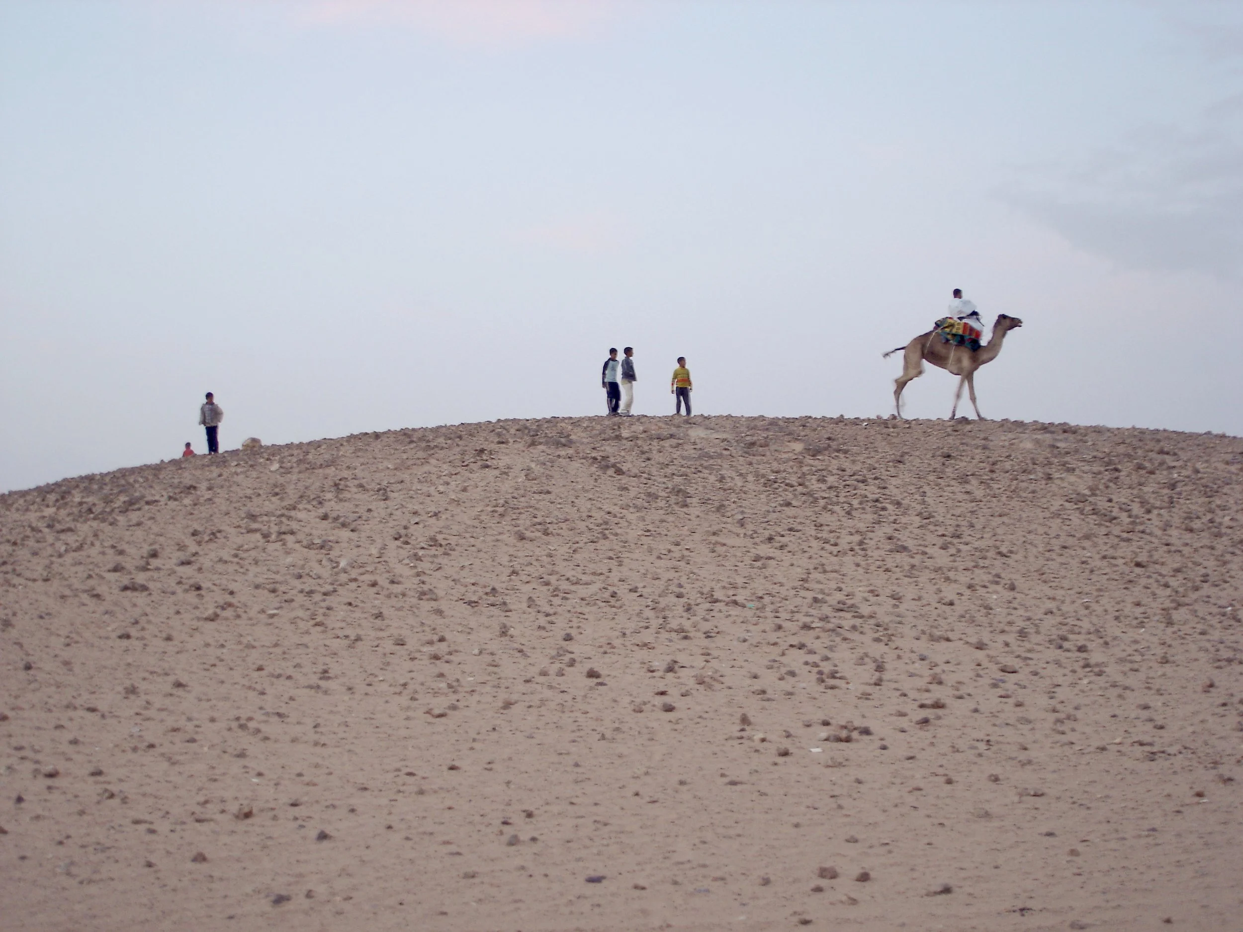 camel on hill.jpg
