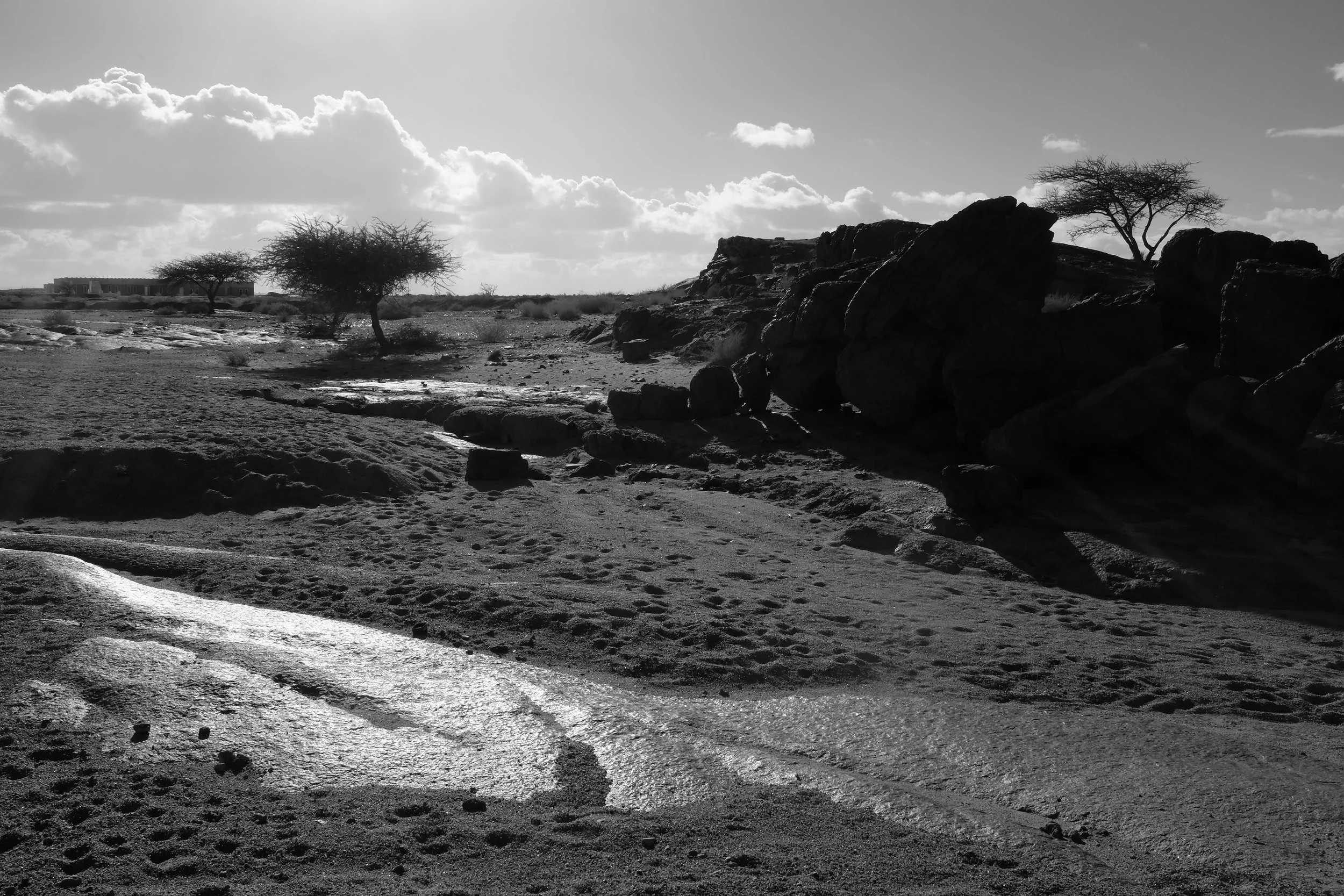 DSCF7537.jpg