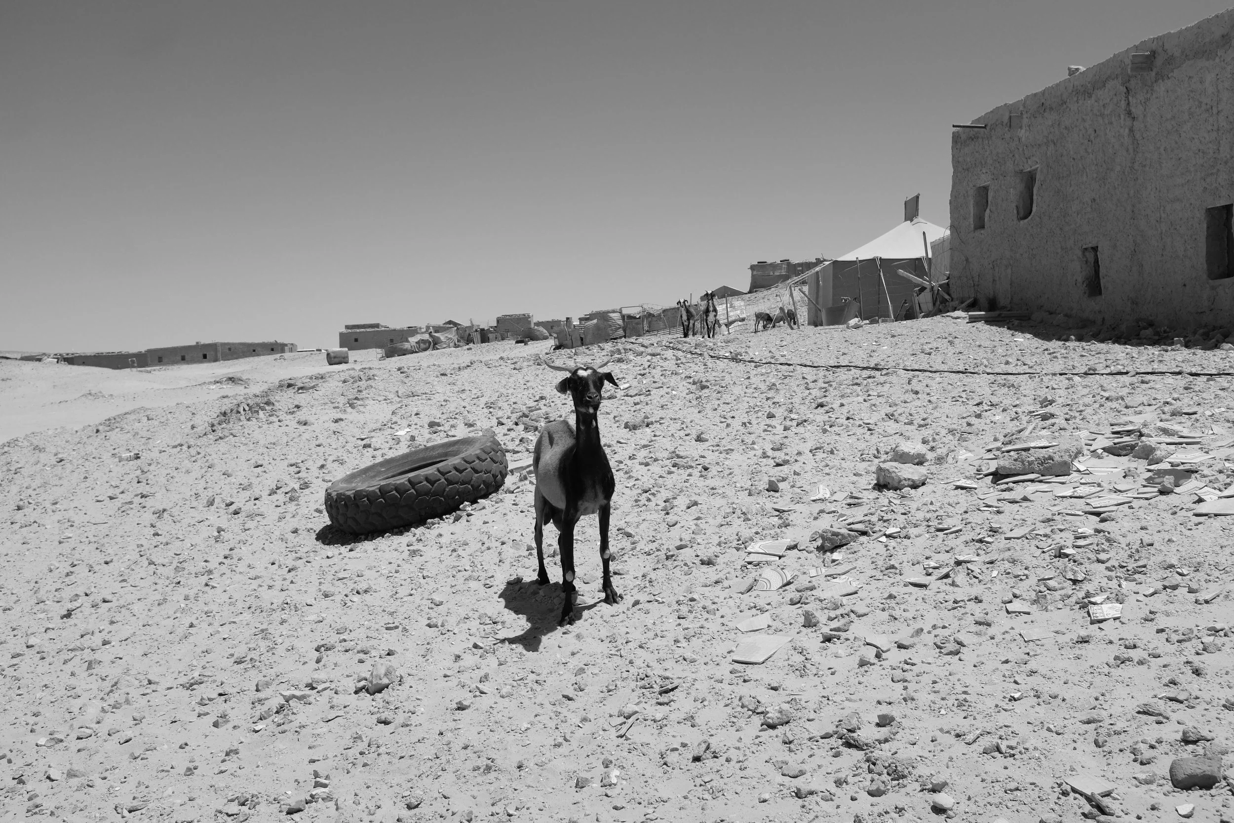 Copy of local neighbour in Boujdour.jpg