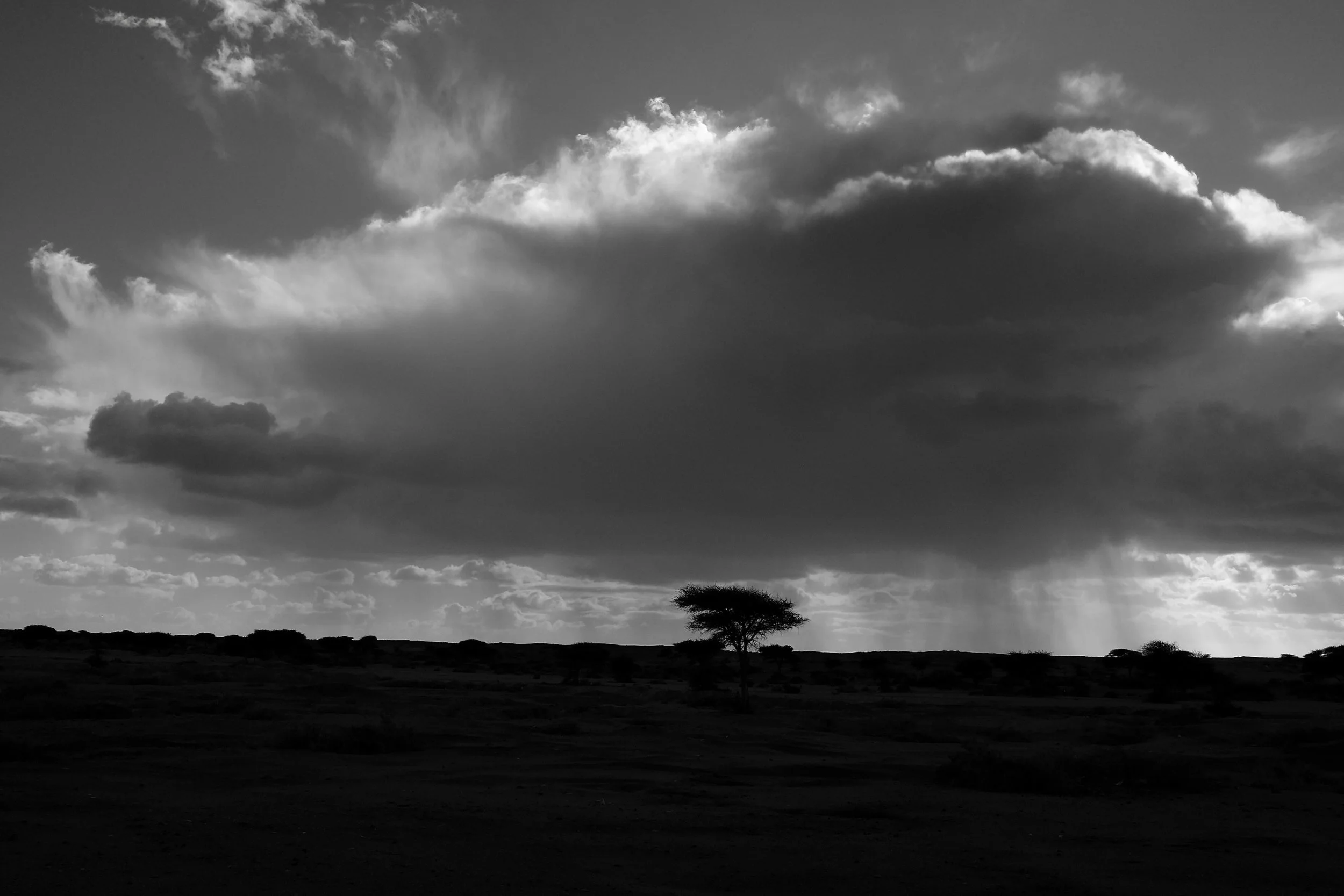 DSCF7574 2.jpg