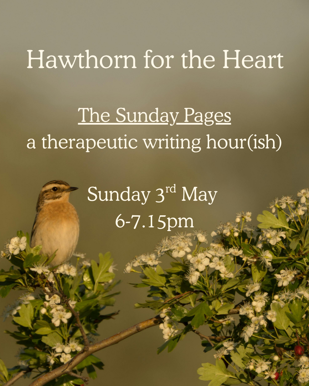 The Sunday Pages - May