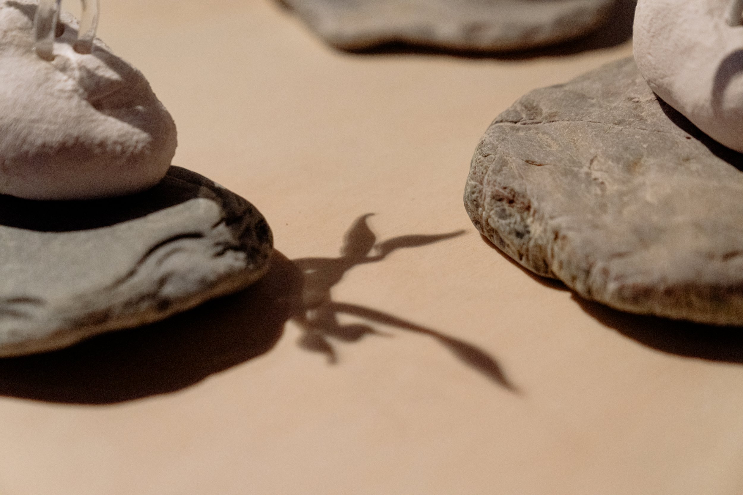 Karin Wijnand - Cannenburgh Expo 2026 - DSC00772.jpg