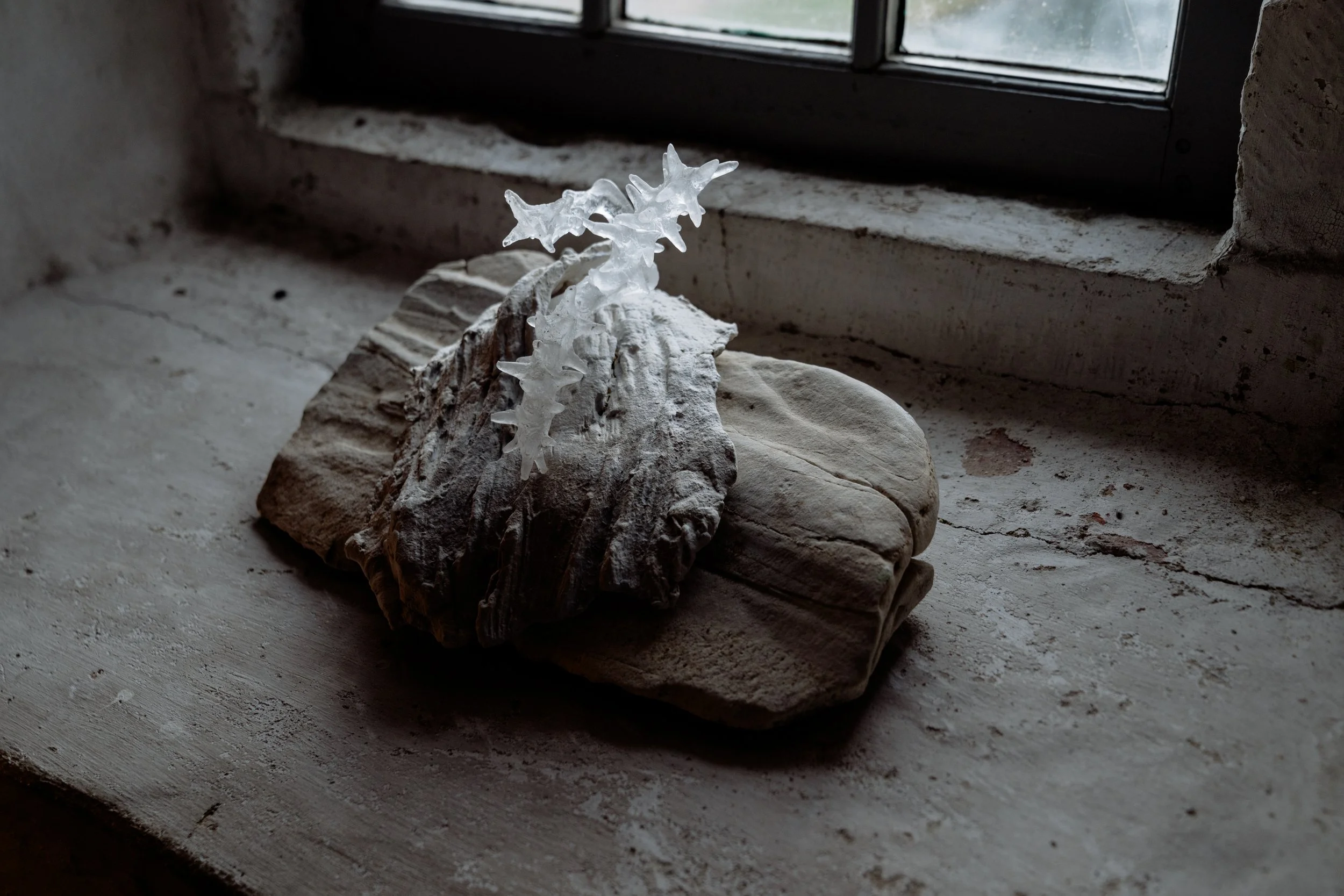 Karin Wijnand - Cannenburgh Expo 2026 - DSC00808.jpg