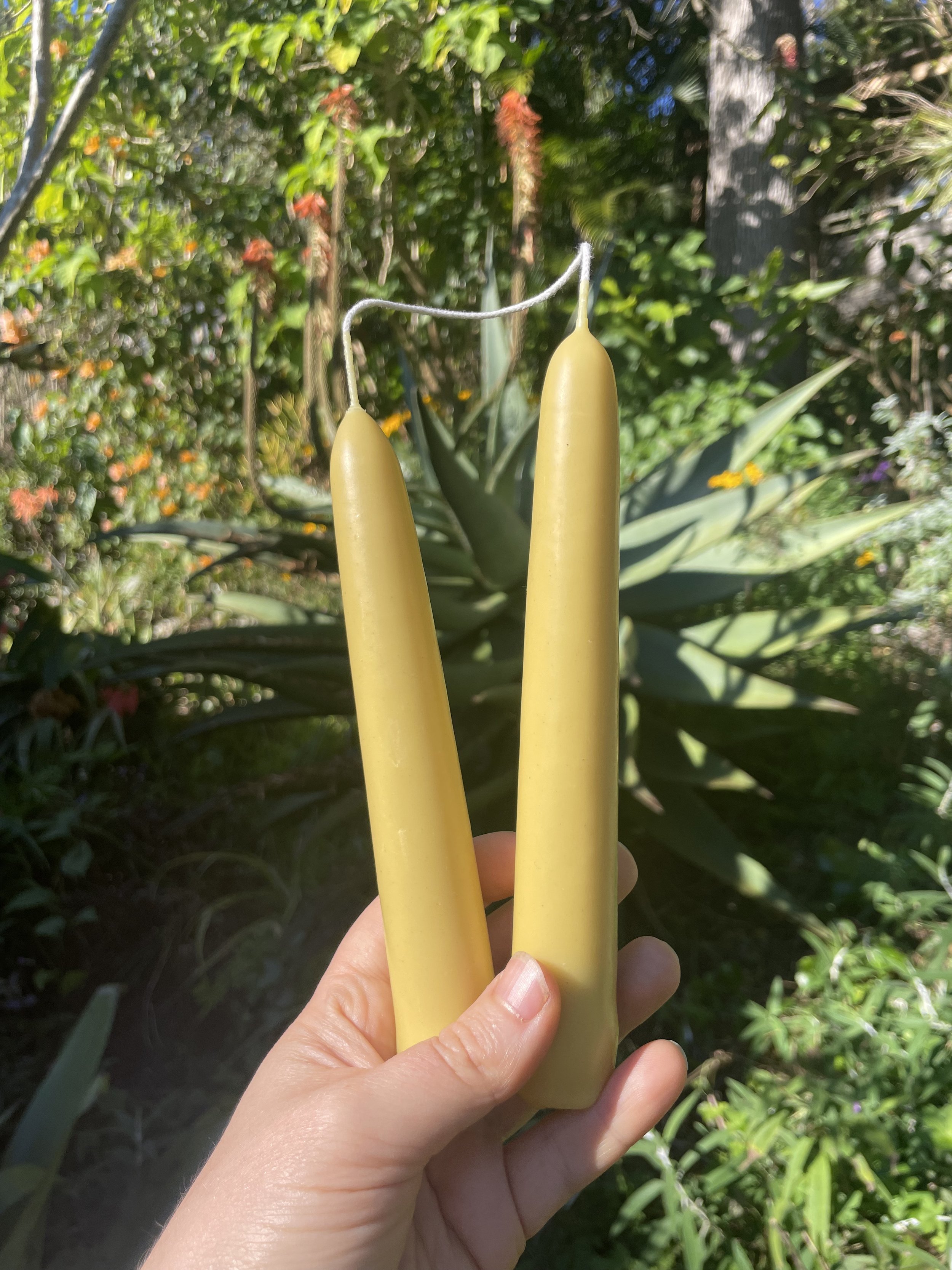 Beeswax Dipped Taper Pair