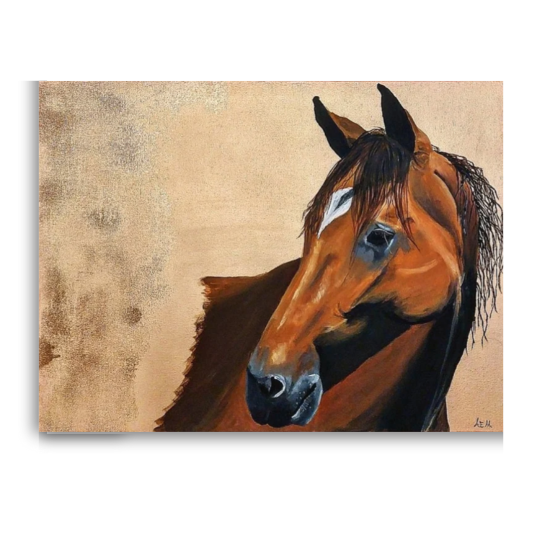 PORTFOLIO (26).png
