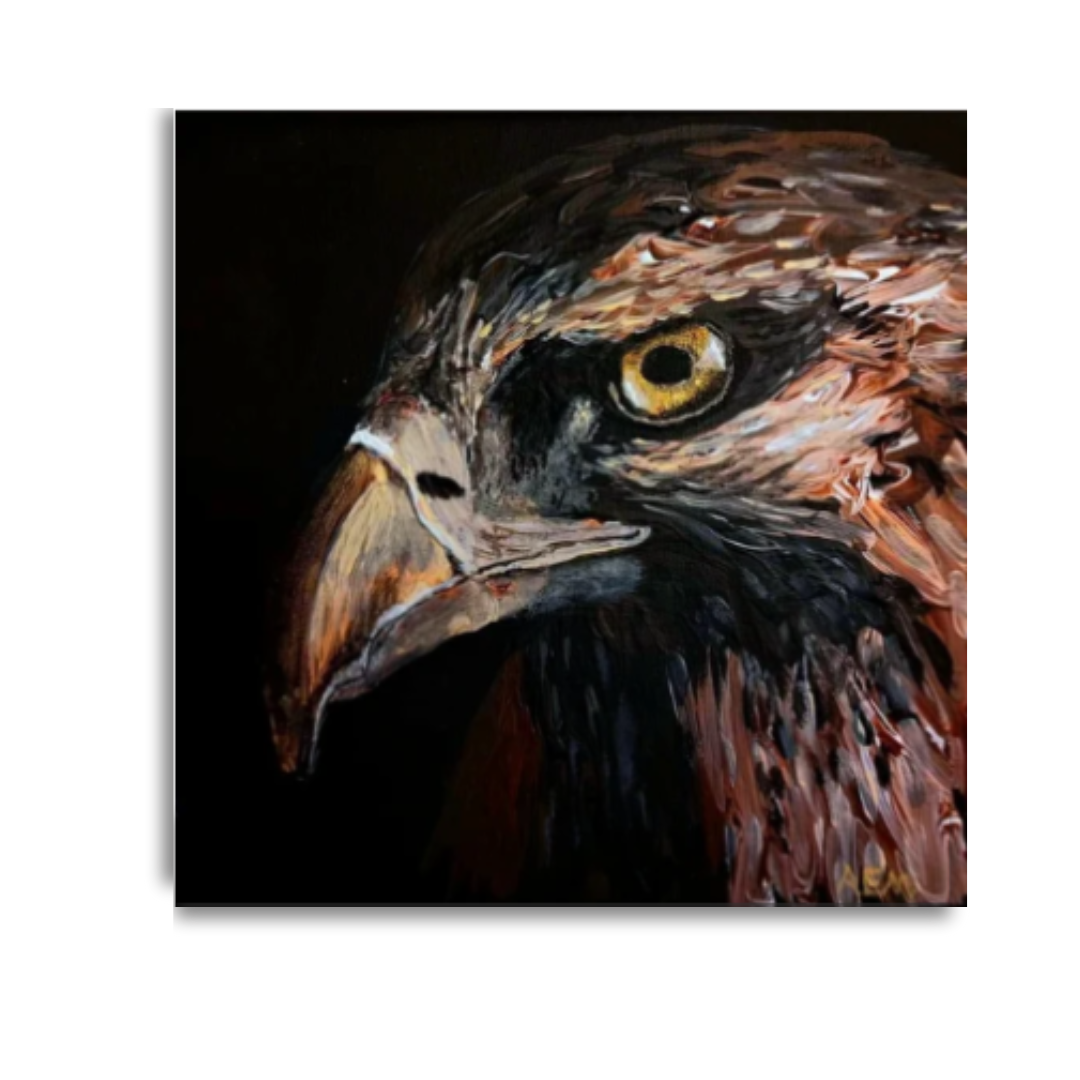 PORTFOLIO (14).png