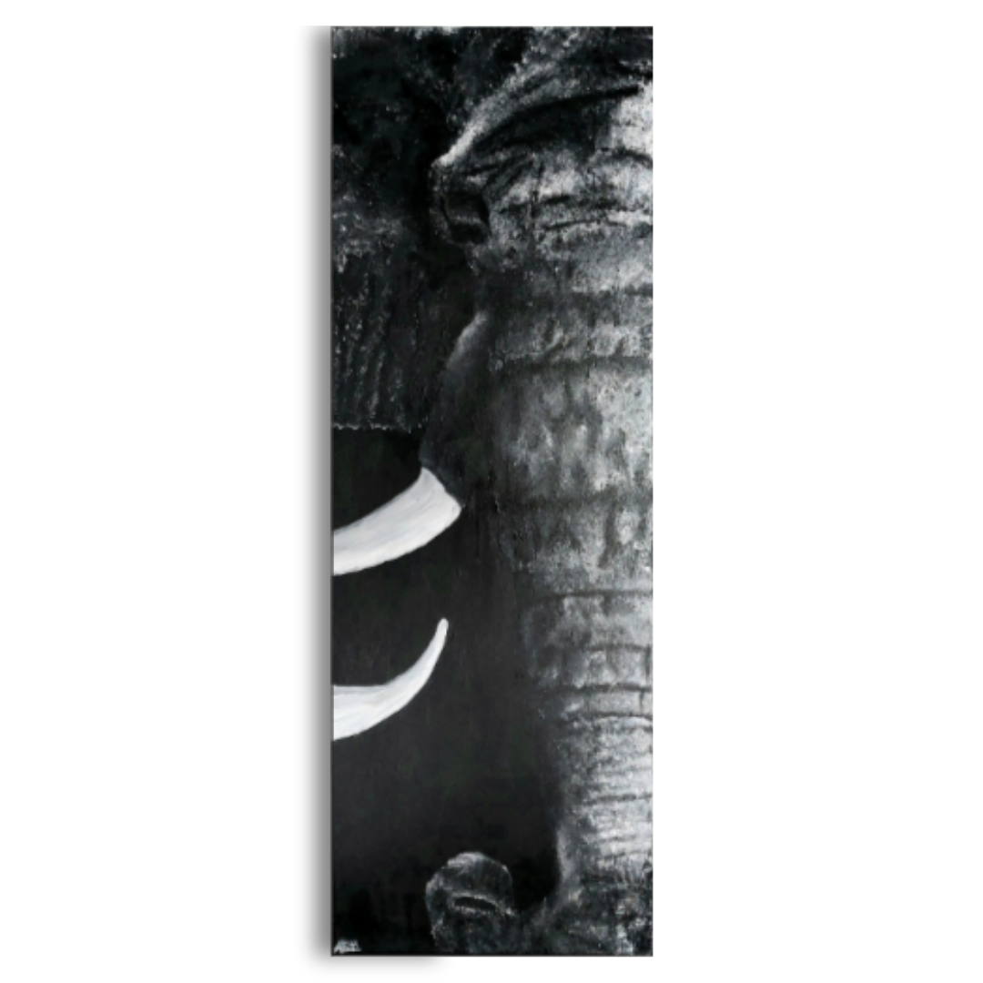 PORTFOLIO (13).png