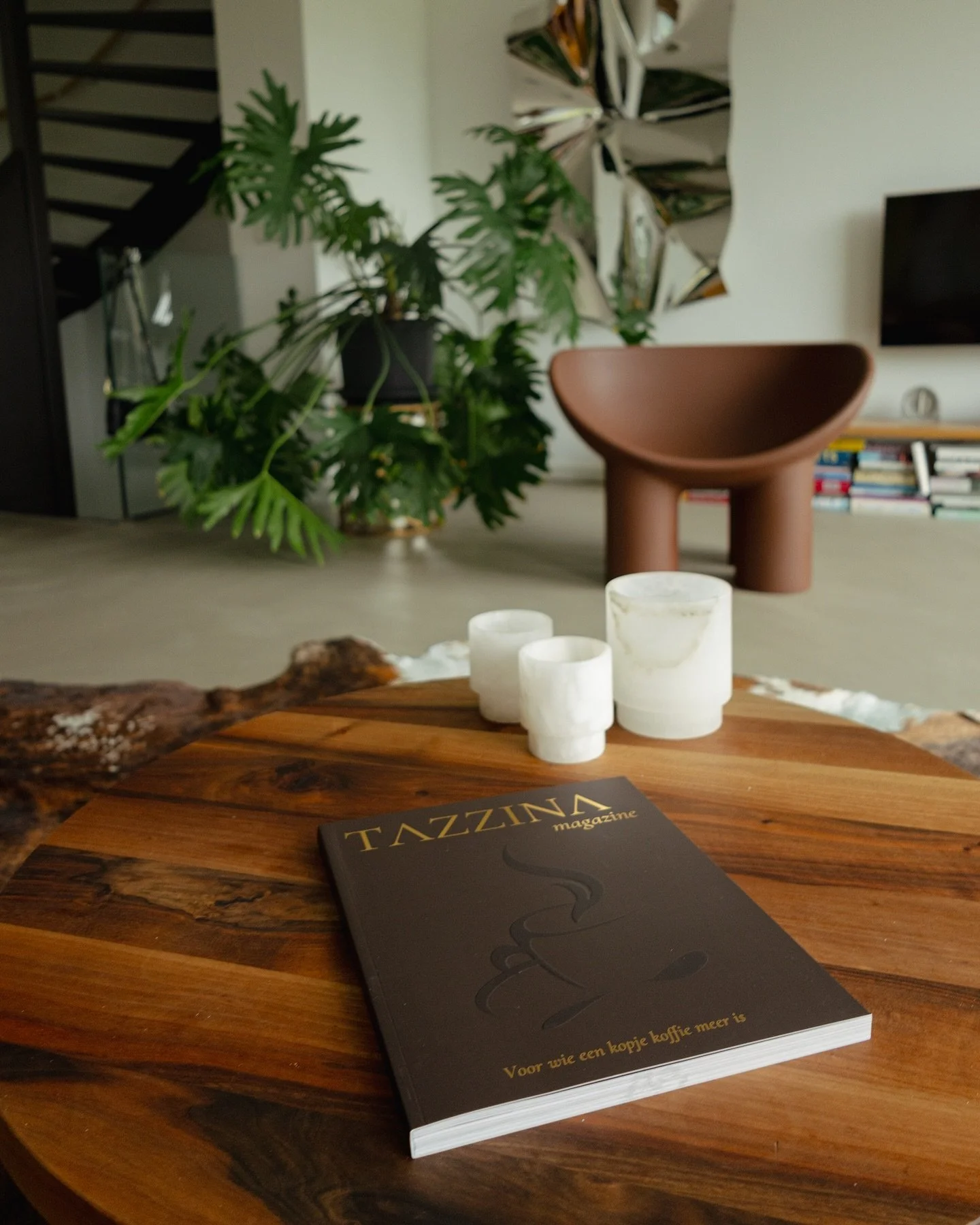 TAZZINA MAGAZINE ☕️

For a school project, I published a magazine with my class called Tazzina Magazine, a magazine all about coffee! I contributed in multiple ways: I shot several photos and wrote two articles. 

One of the highlights was photograph