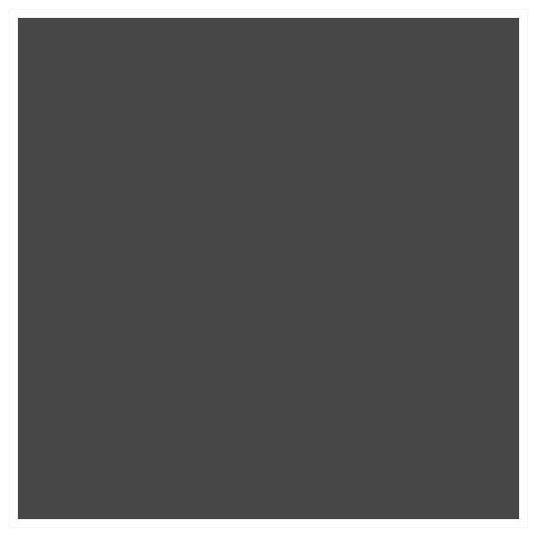 A dark, rectangular object with a small protruding element at the top, surrounded by a thin black border and a thicker white border outside.