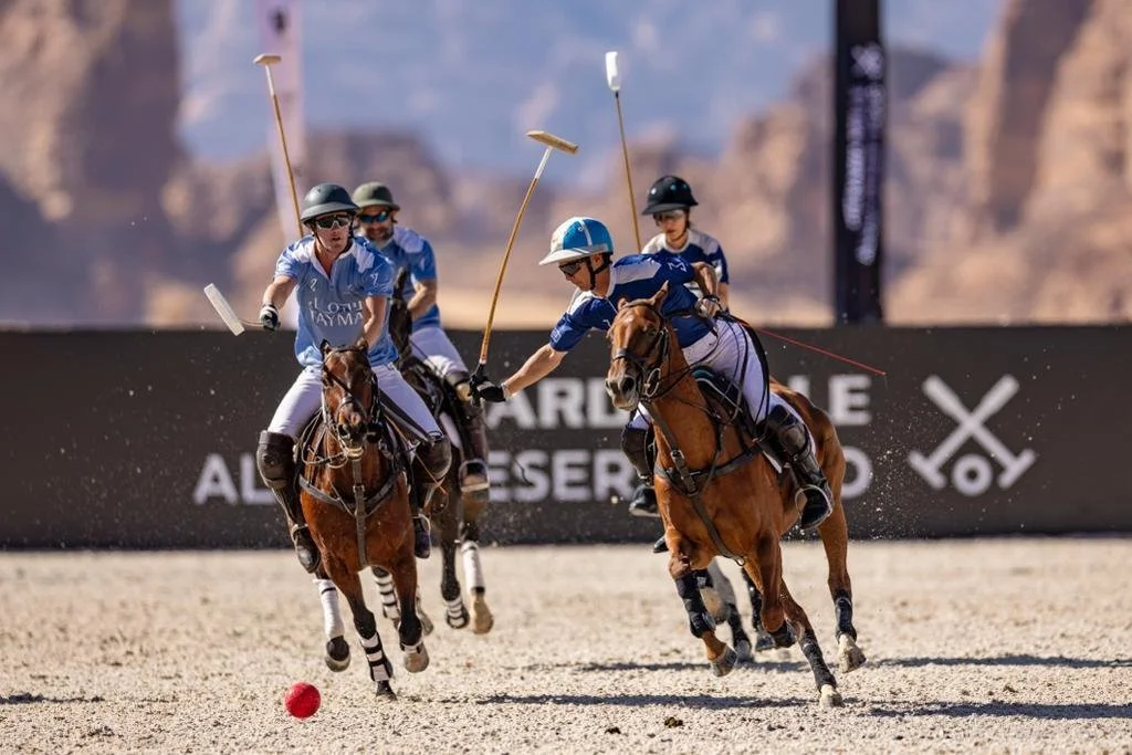 WhatsApp Image 2026-02-17 at 17.34.23 (1).jpeg