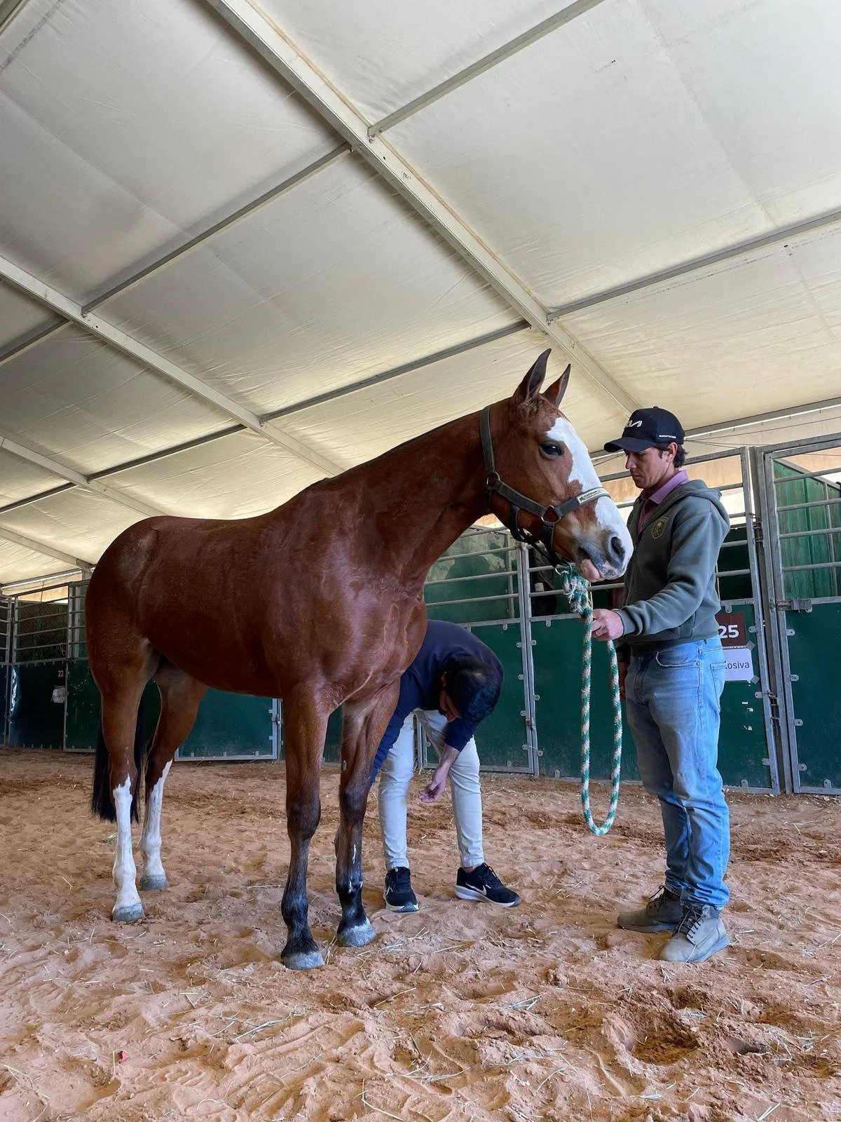 WhatsApp Image 2026-02-17 at 17.30.45 (4).jpeg