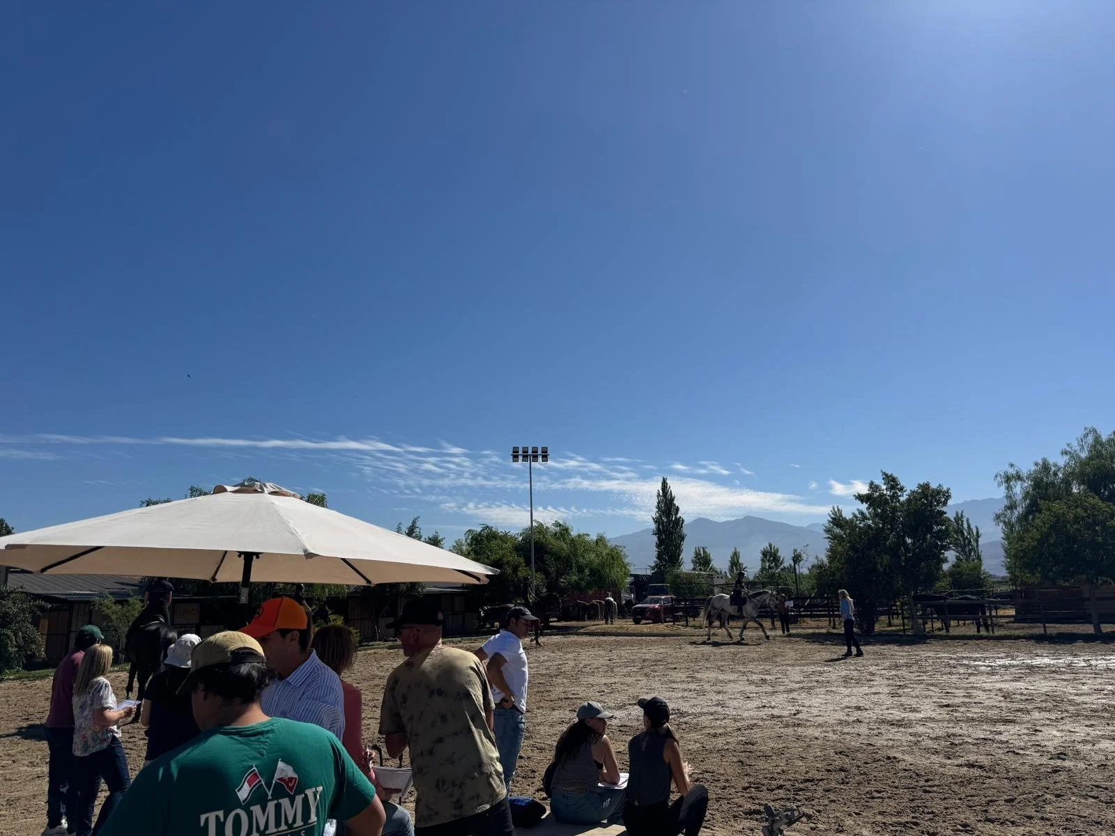 WhatsApp Image 2025-11-19 at 15.10.05_8e817c97.jpg