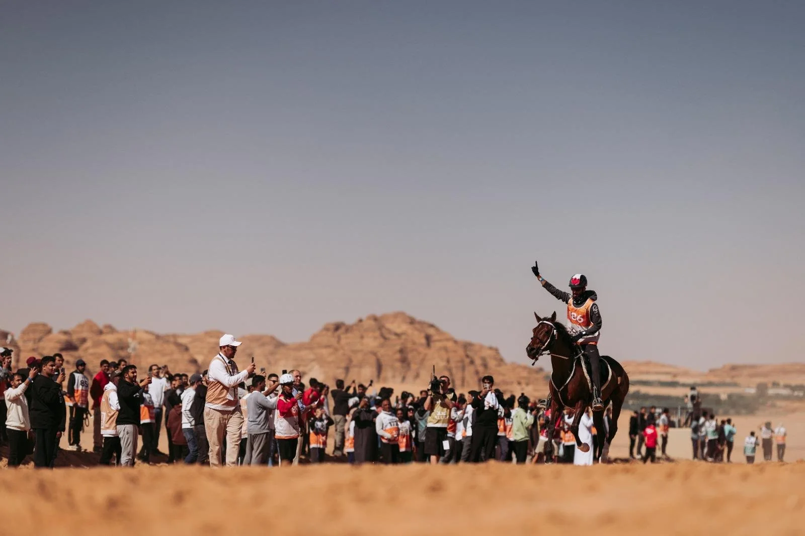 AlFursan Endurance Cup - Business Owner