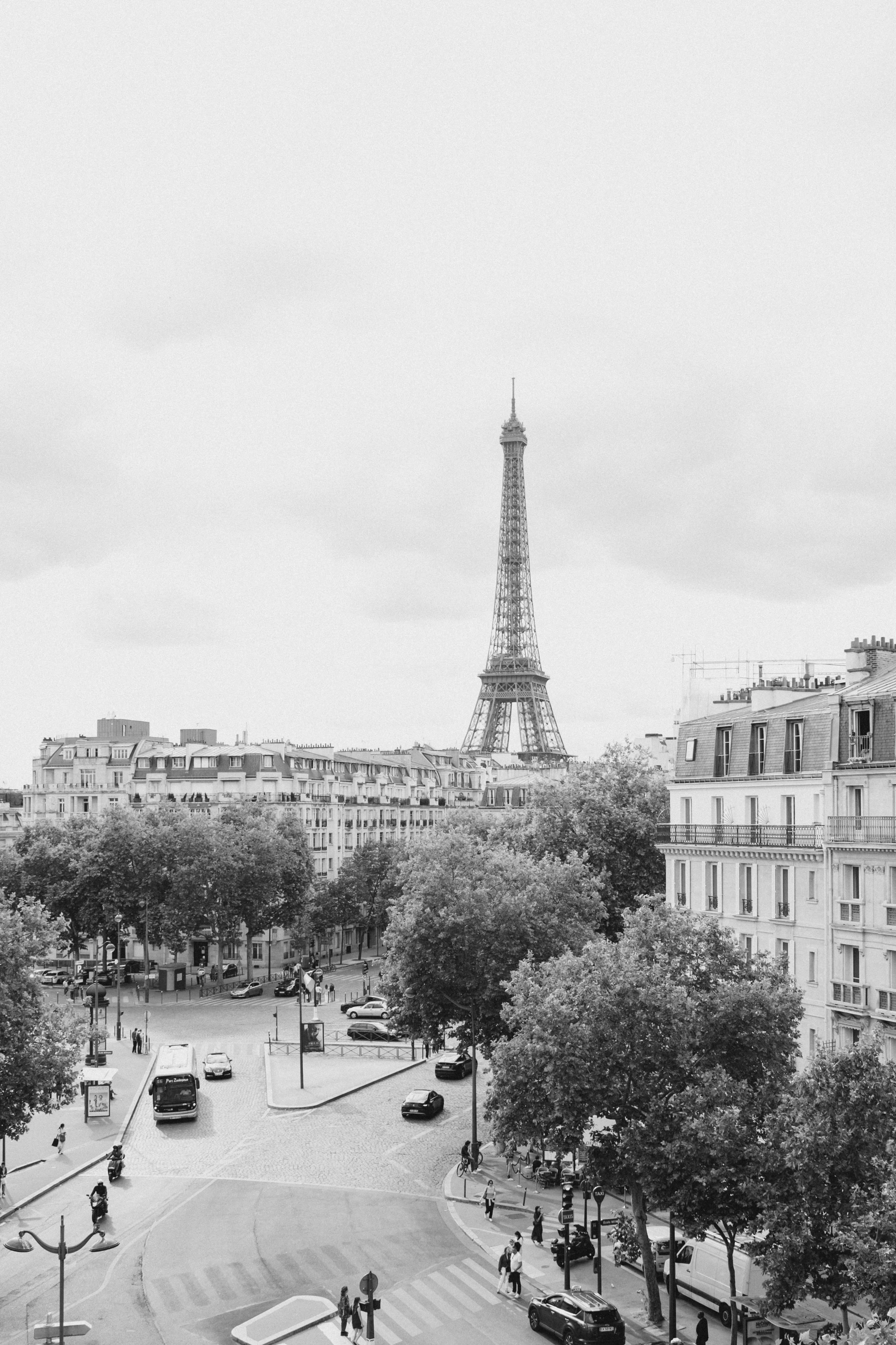Rooftop view of the Eiffel Tower in Paris is the perfect honeymoon getaway.