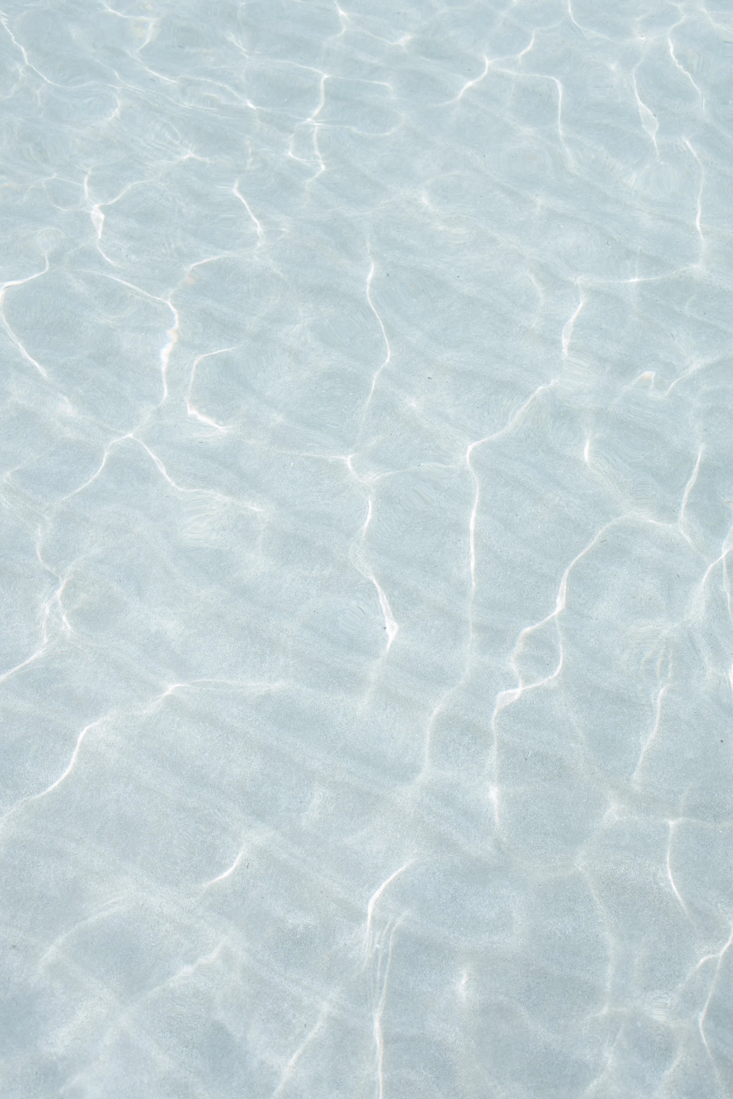Clear blue water surface with sunlight reflections and ripples.