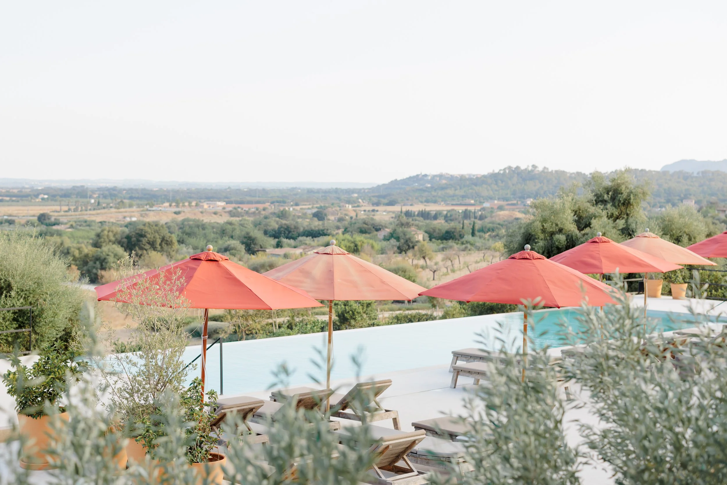 A scenic outdoor view with red umbrellas, lounge chairs, and greenery overlooking a vast landscape with hills and trees in the distance.