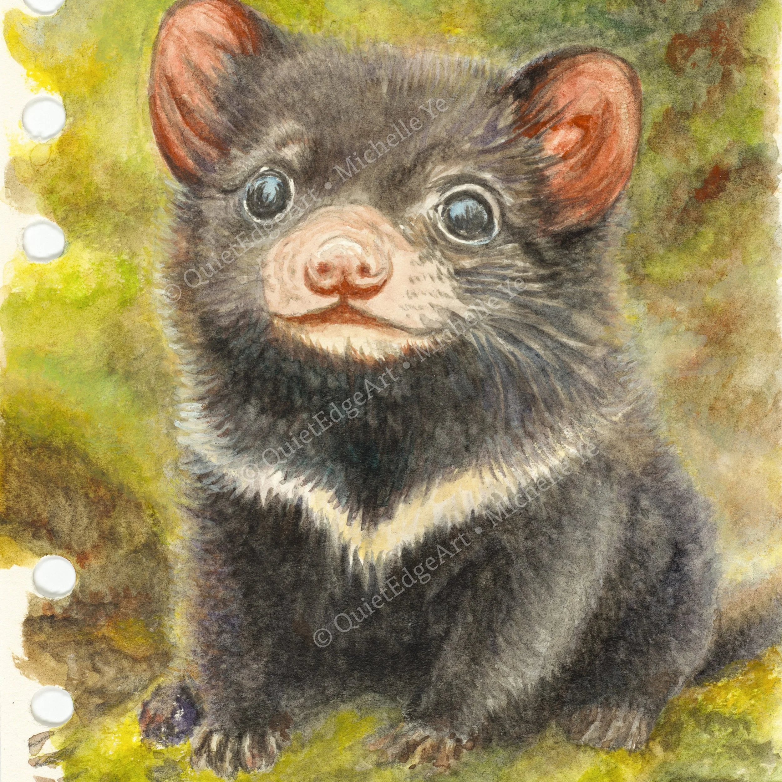 Tasmanian Devil